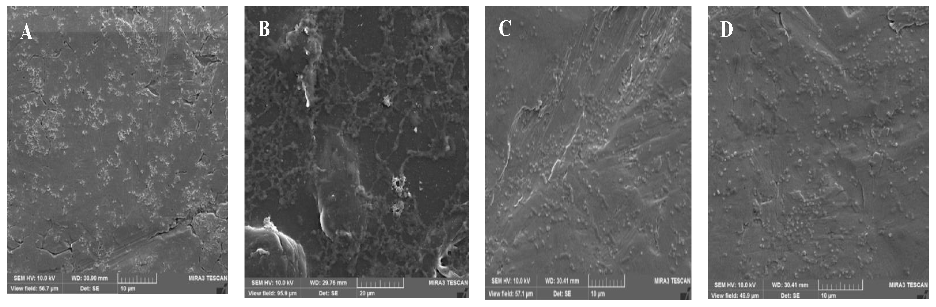 Applsci 11 03581 g003