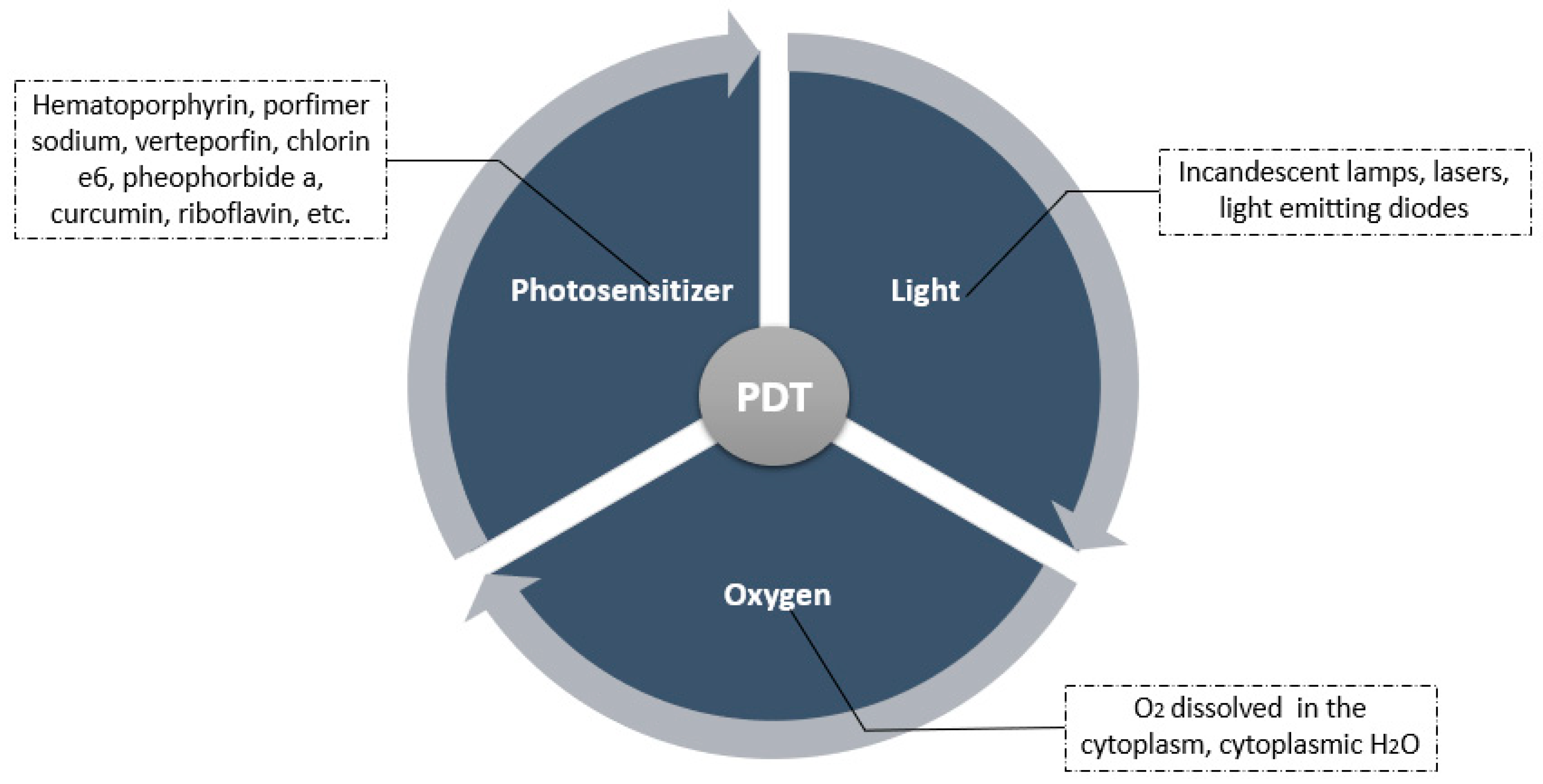 Applsci 11 03626 g001