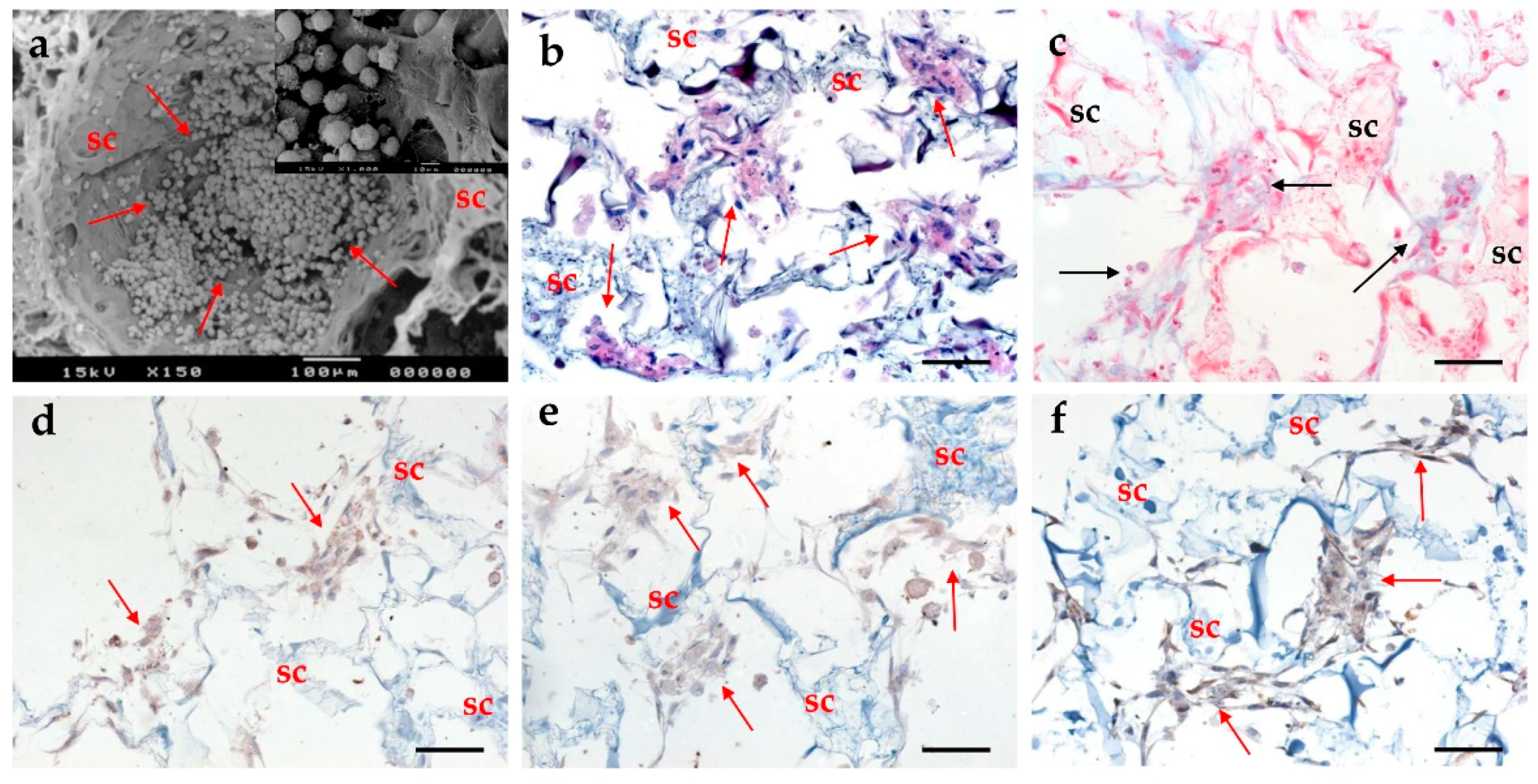 Applsci 11 03651 g003