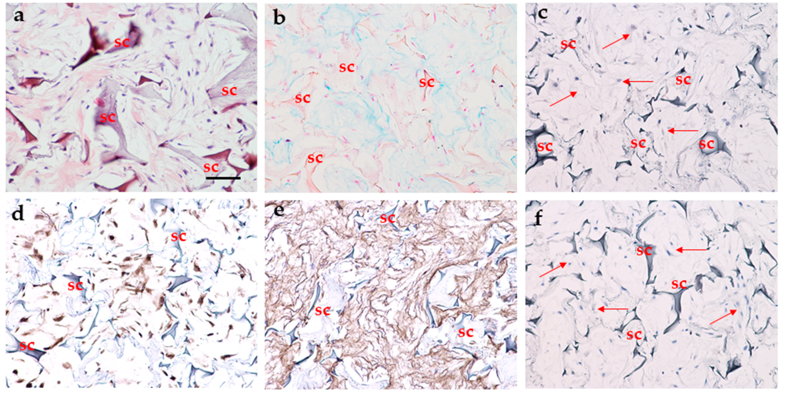 Applsci 11 03651 g006
