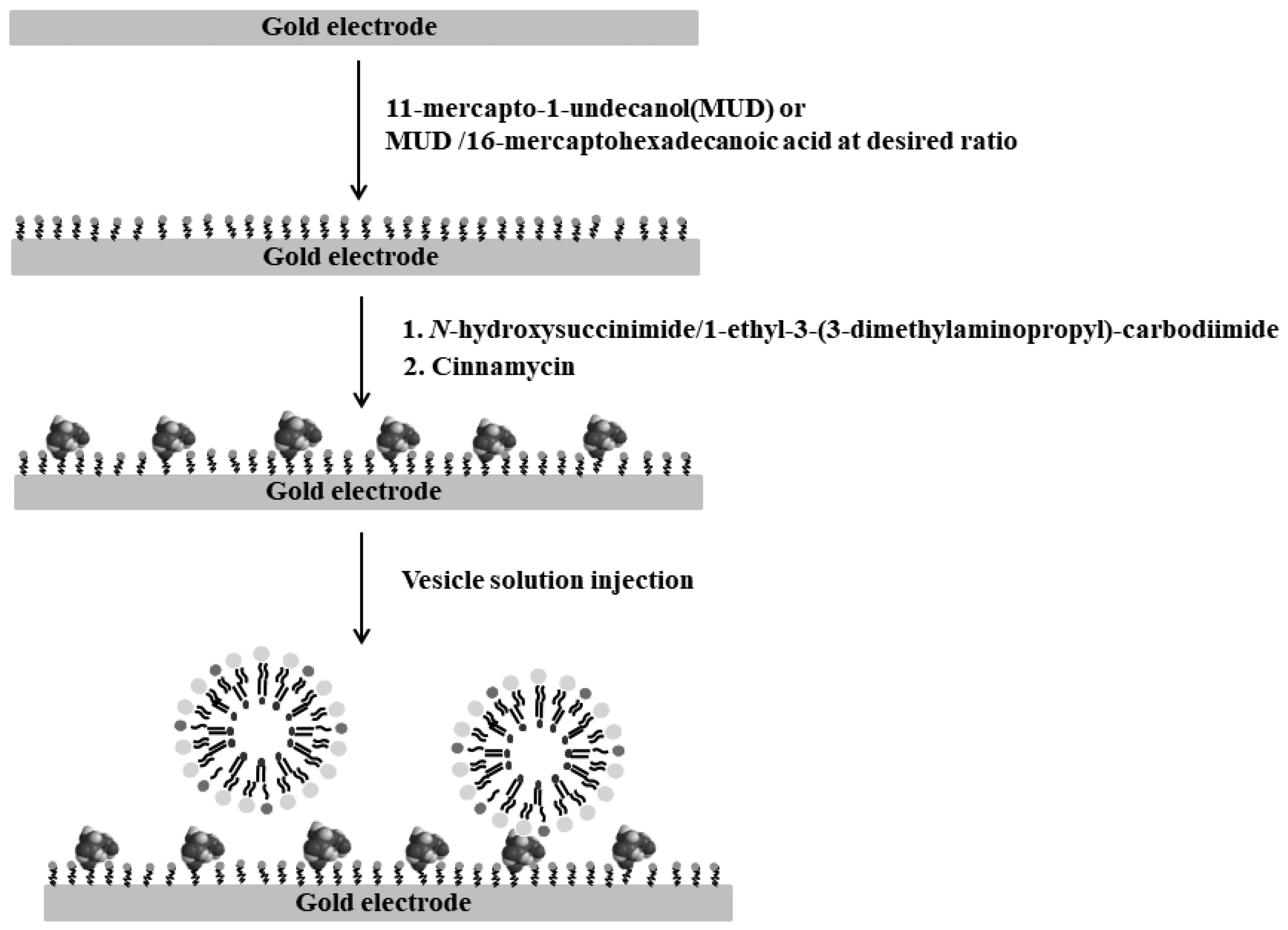 Applsci 11 03660 g001 Applsci 11 03660 g001