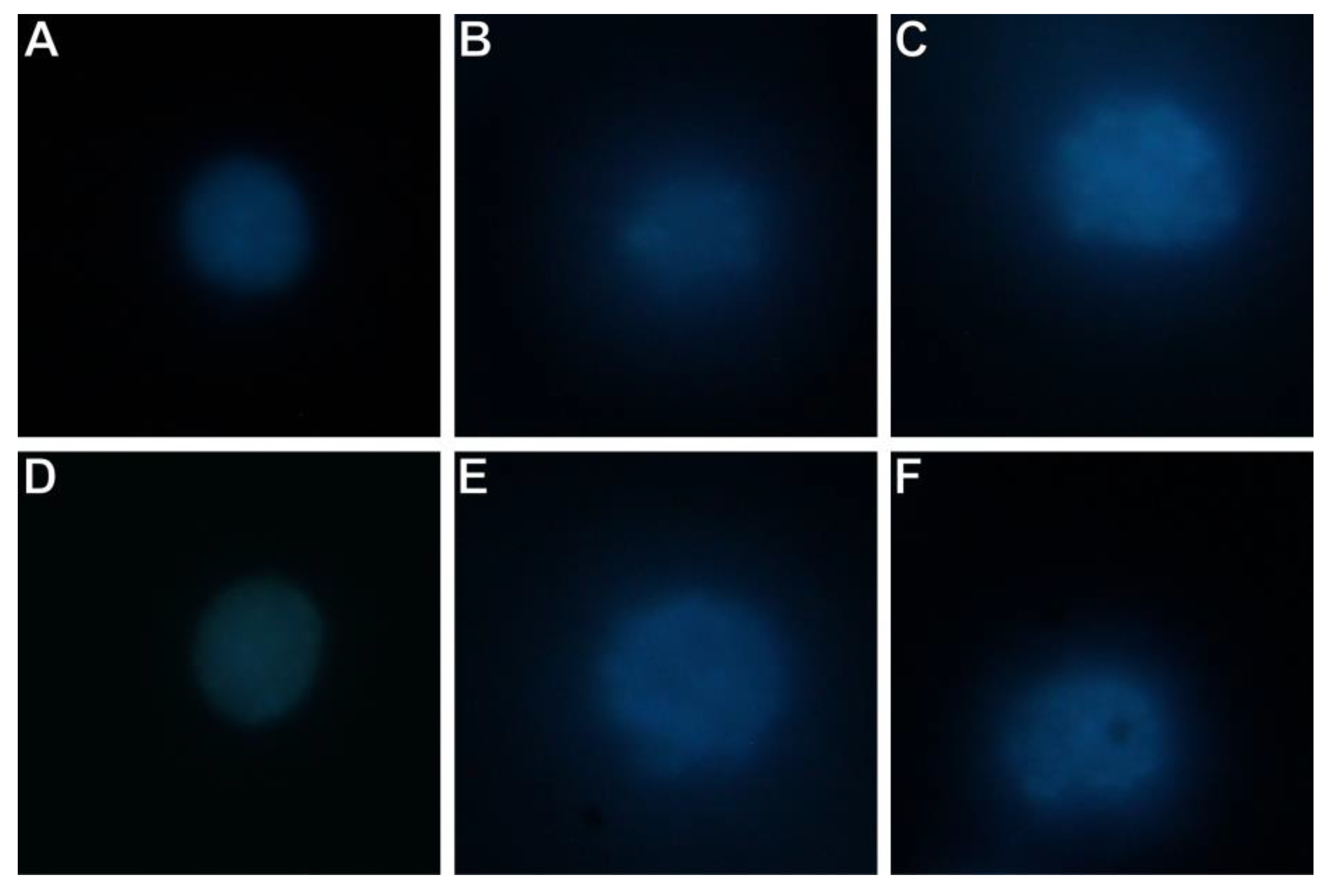 Applsci 11 03729 g008