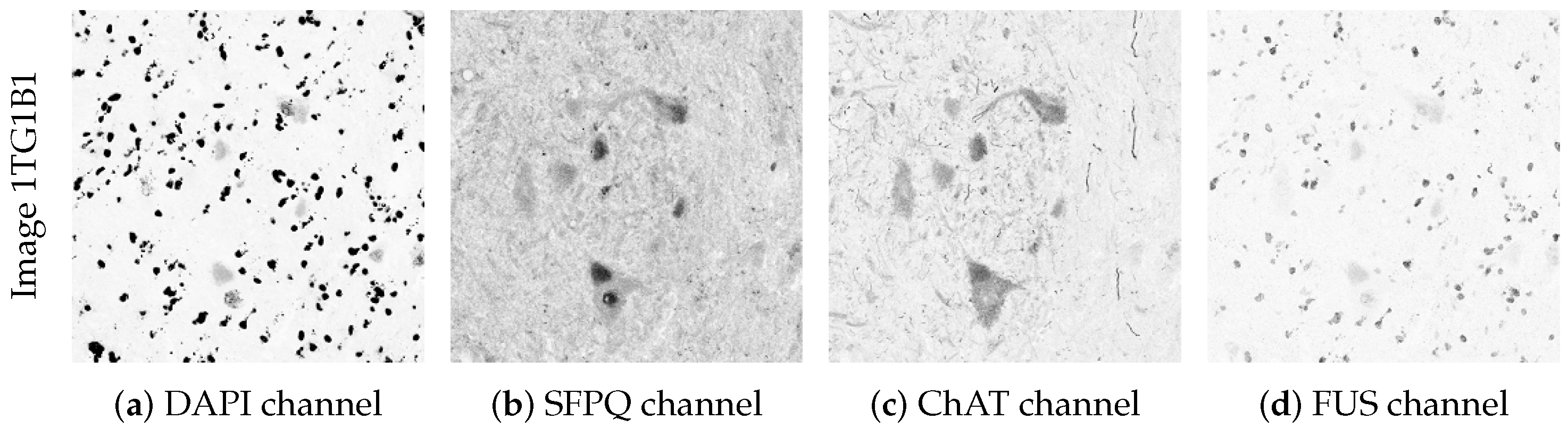 Applsci 11 03733 g003