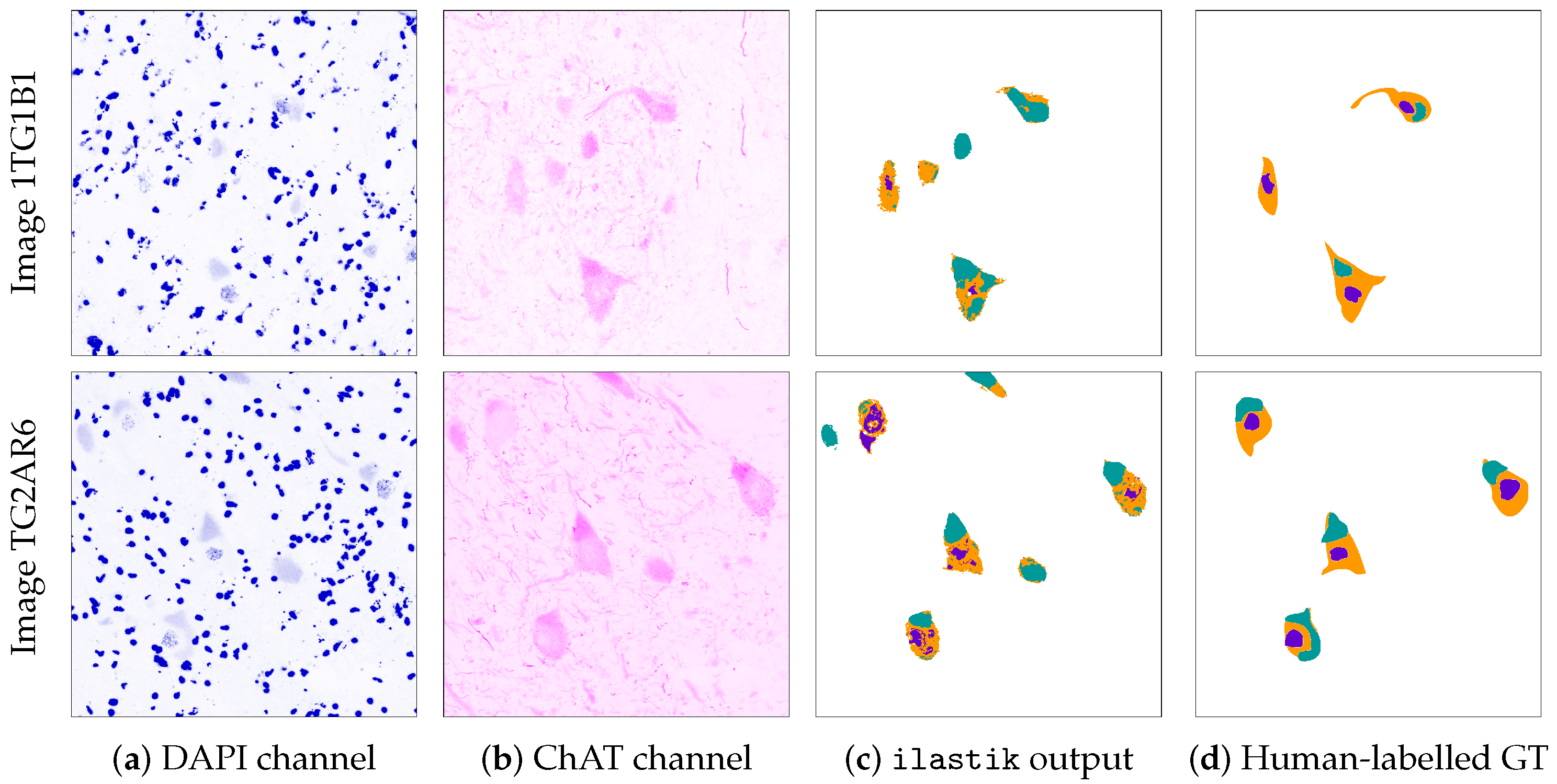 Applsci 11 03733 g004