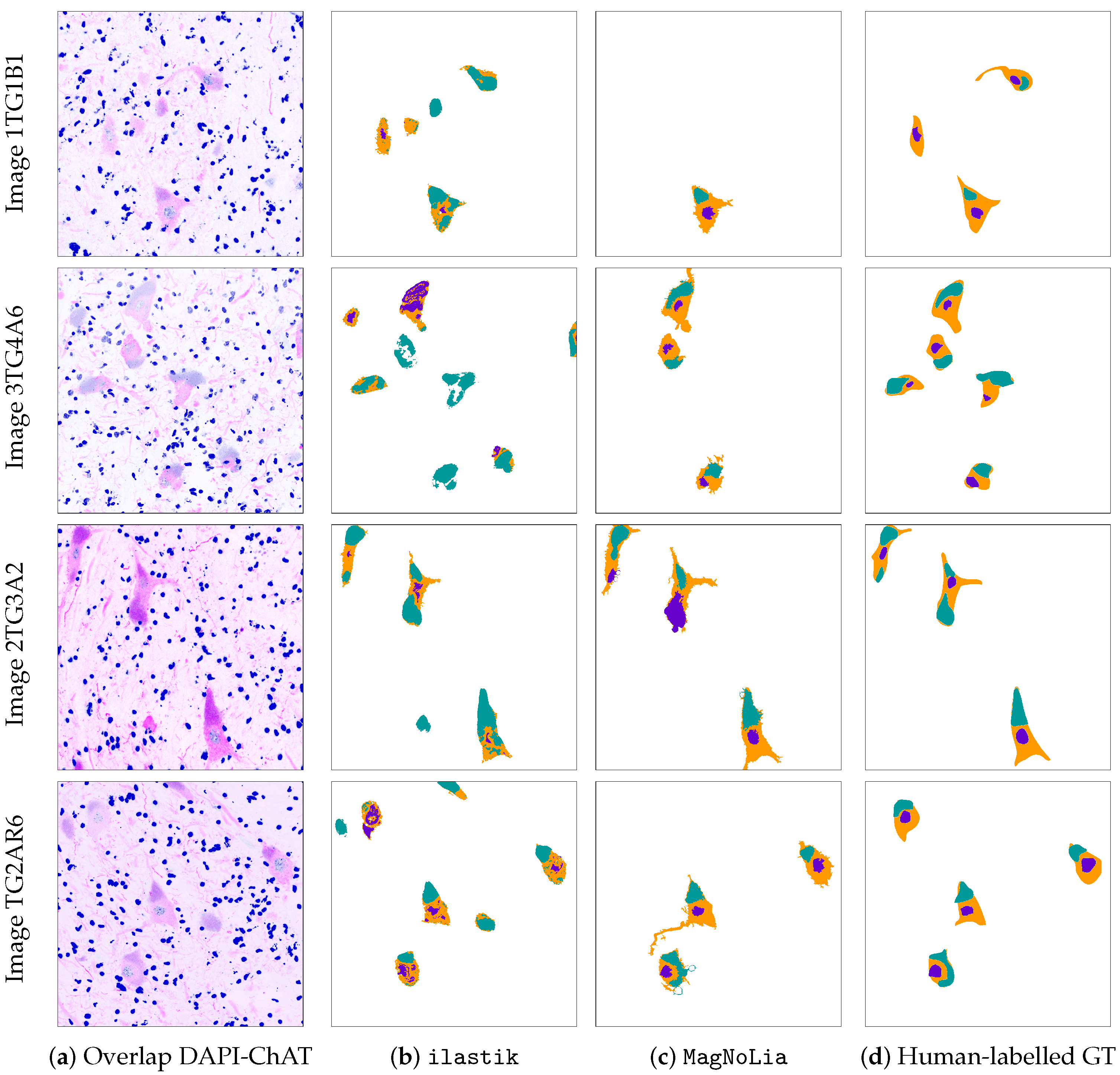 Applsci 11 03733 g007