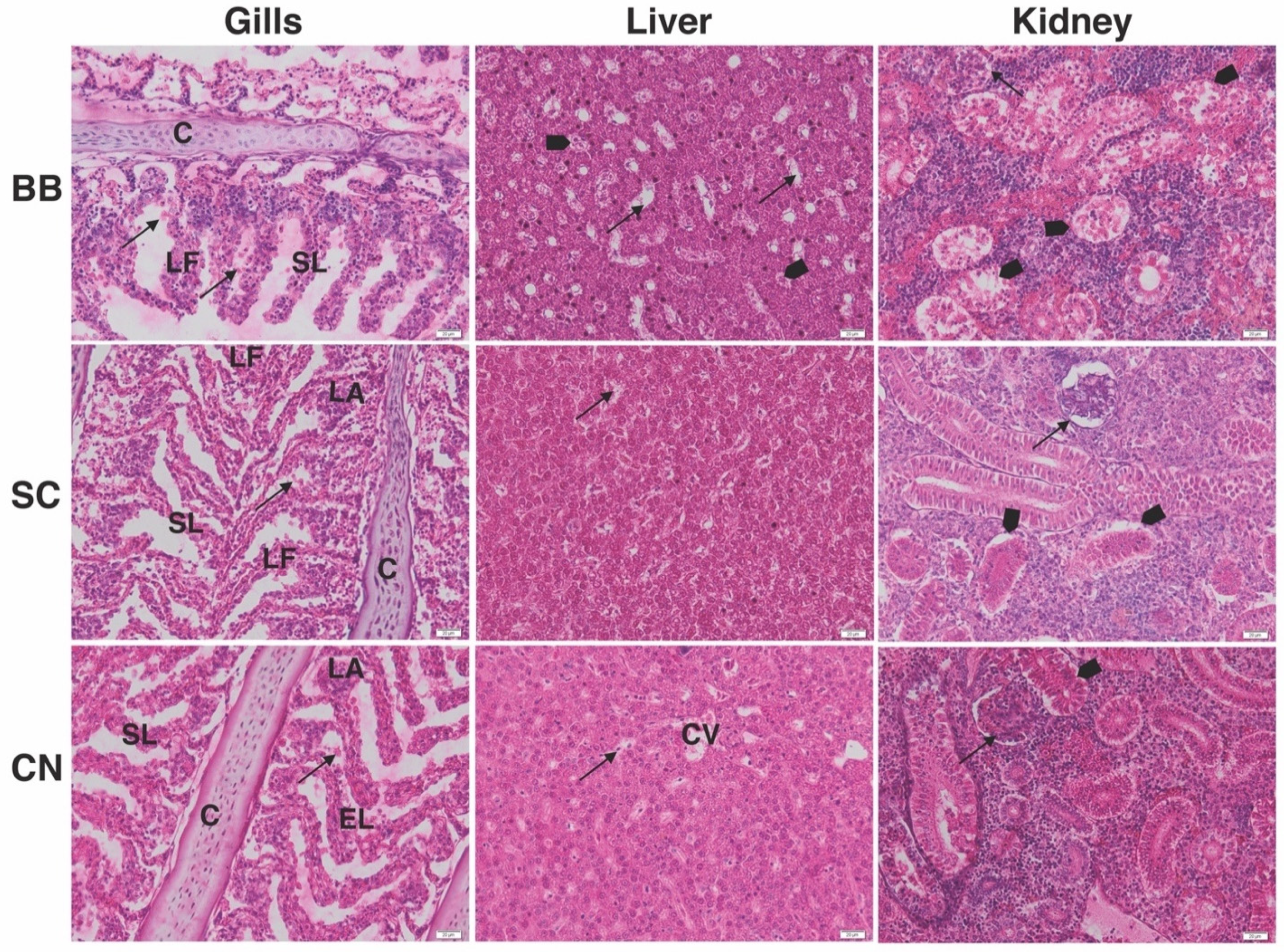 Applsci 11 03760 g003