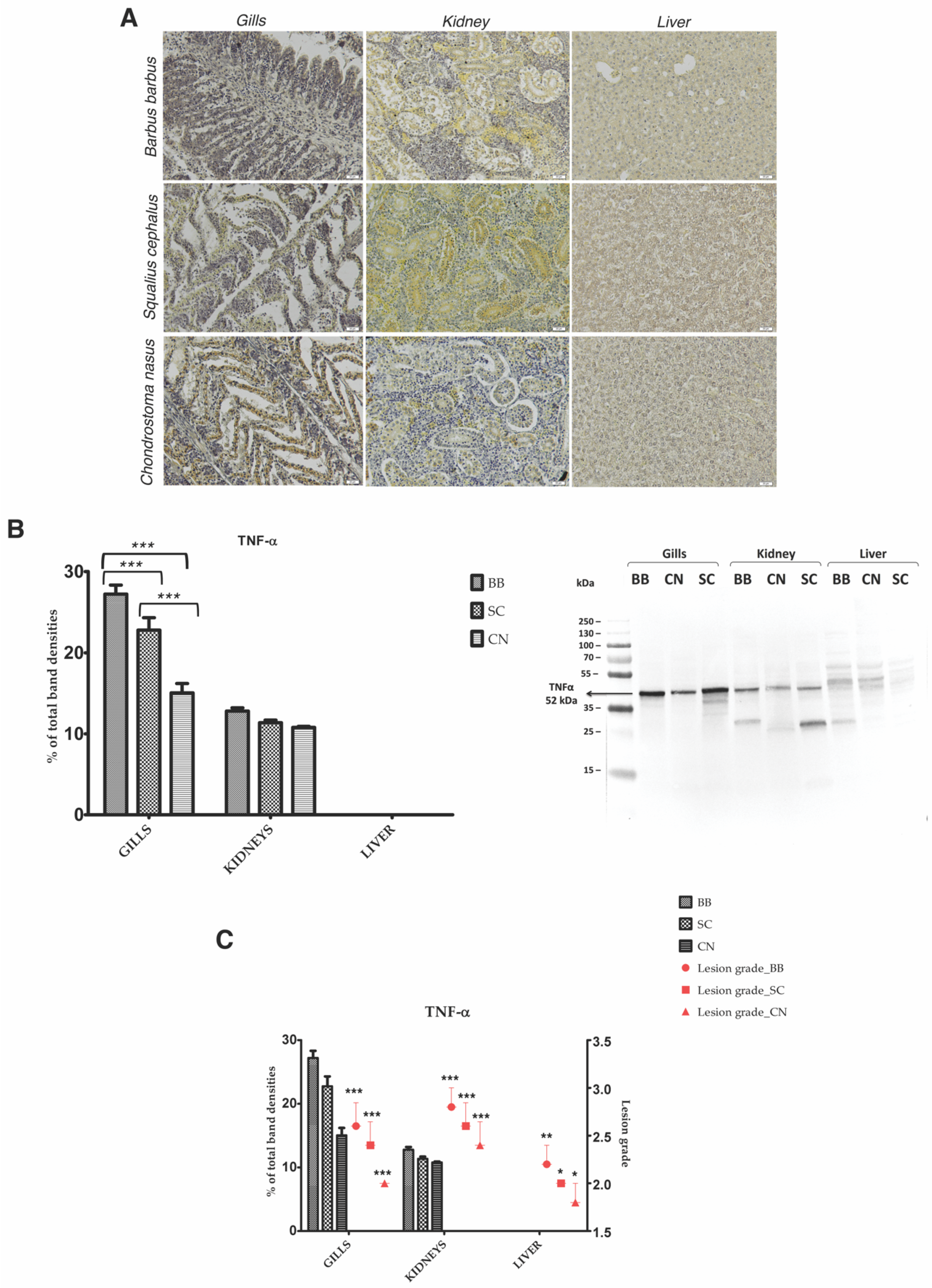 Applsci 11 03760 g005