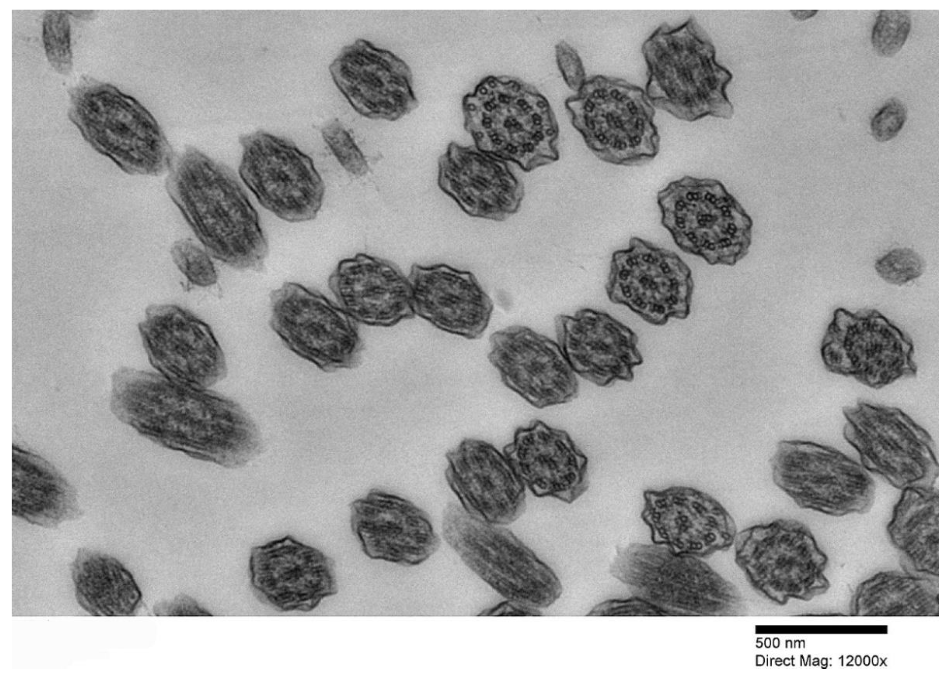 Applsci 11 03818 g002