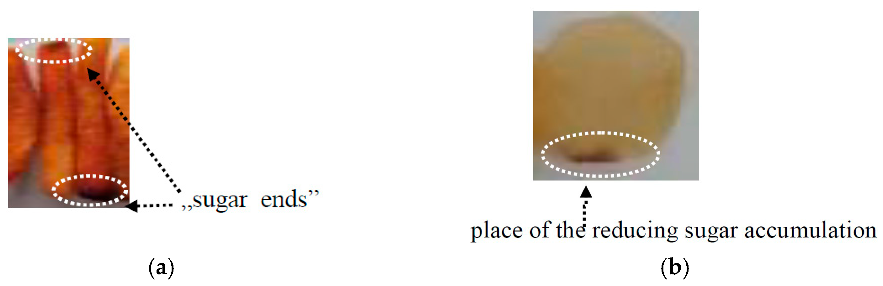 Applsci 11 03943 g001 Applsci 11 03943 g001