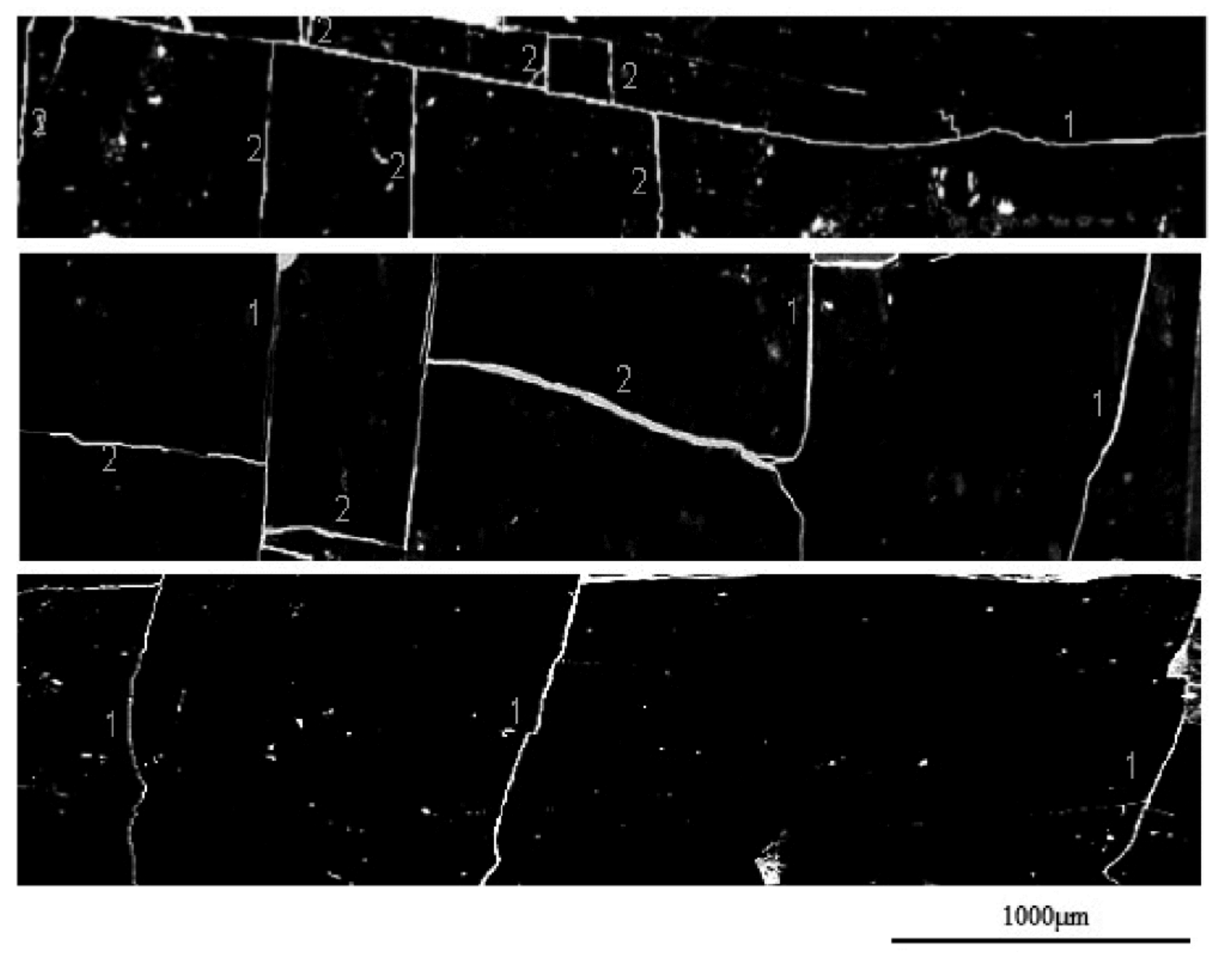 Applsci 11 03969 g007 Applsci 11 03969 g007