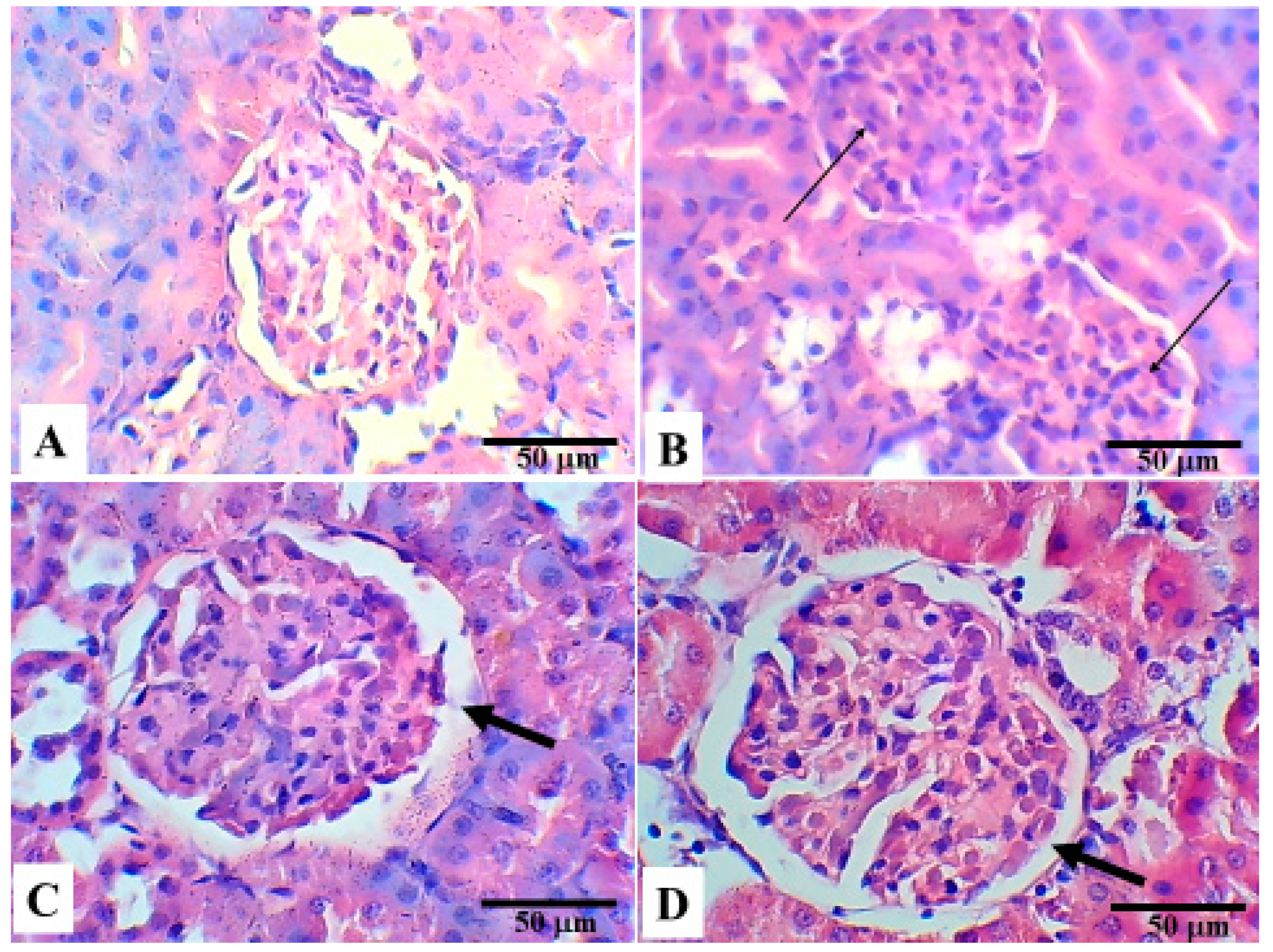 Applsci 11 03981 g001 Applsci 11 03981 g001