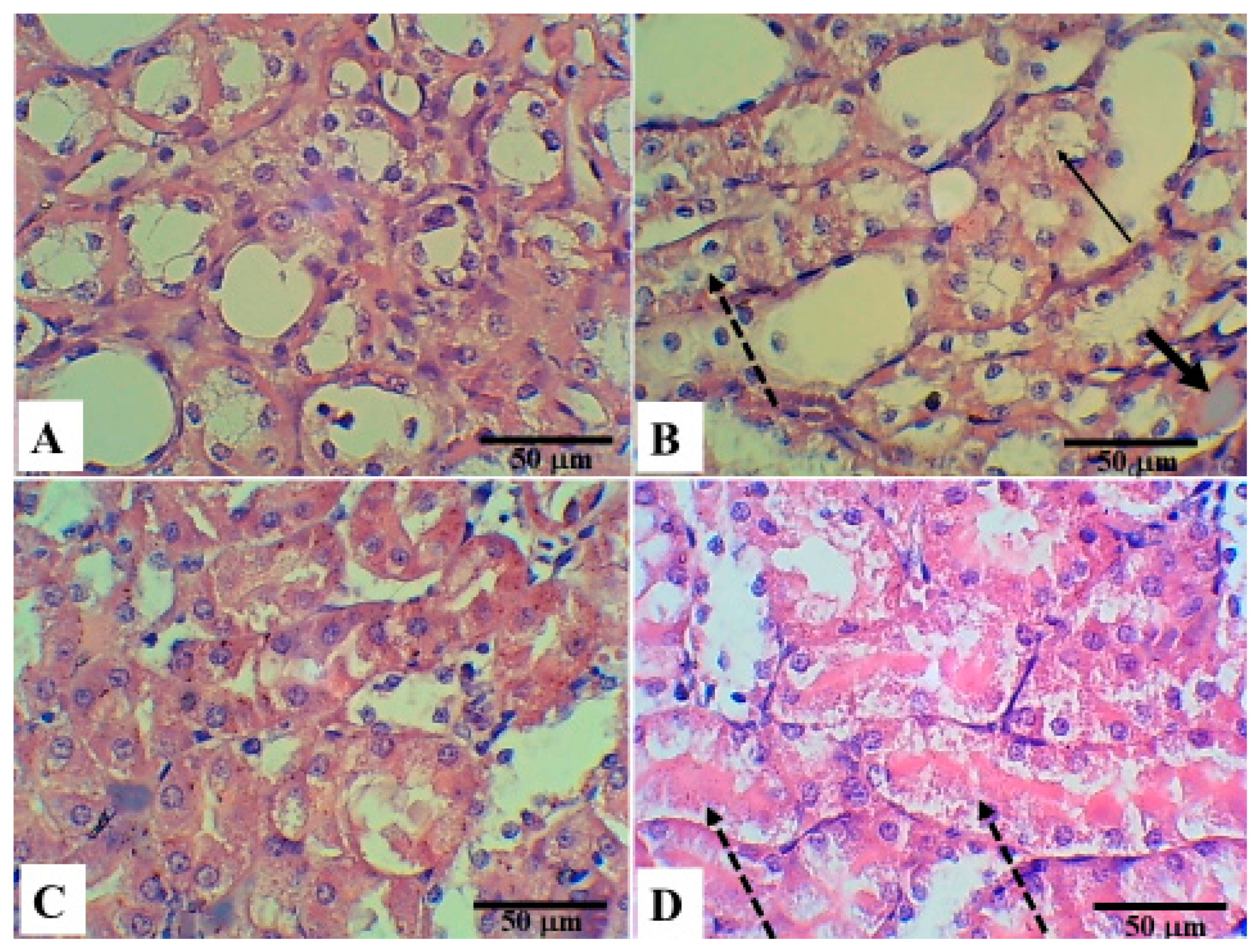 Applsci 11 03981 g002 Applsci 11 03981 g002