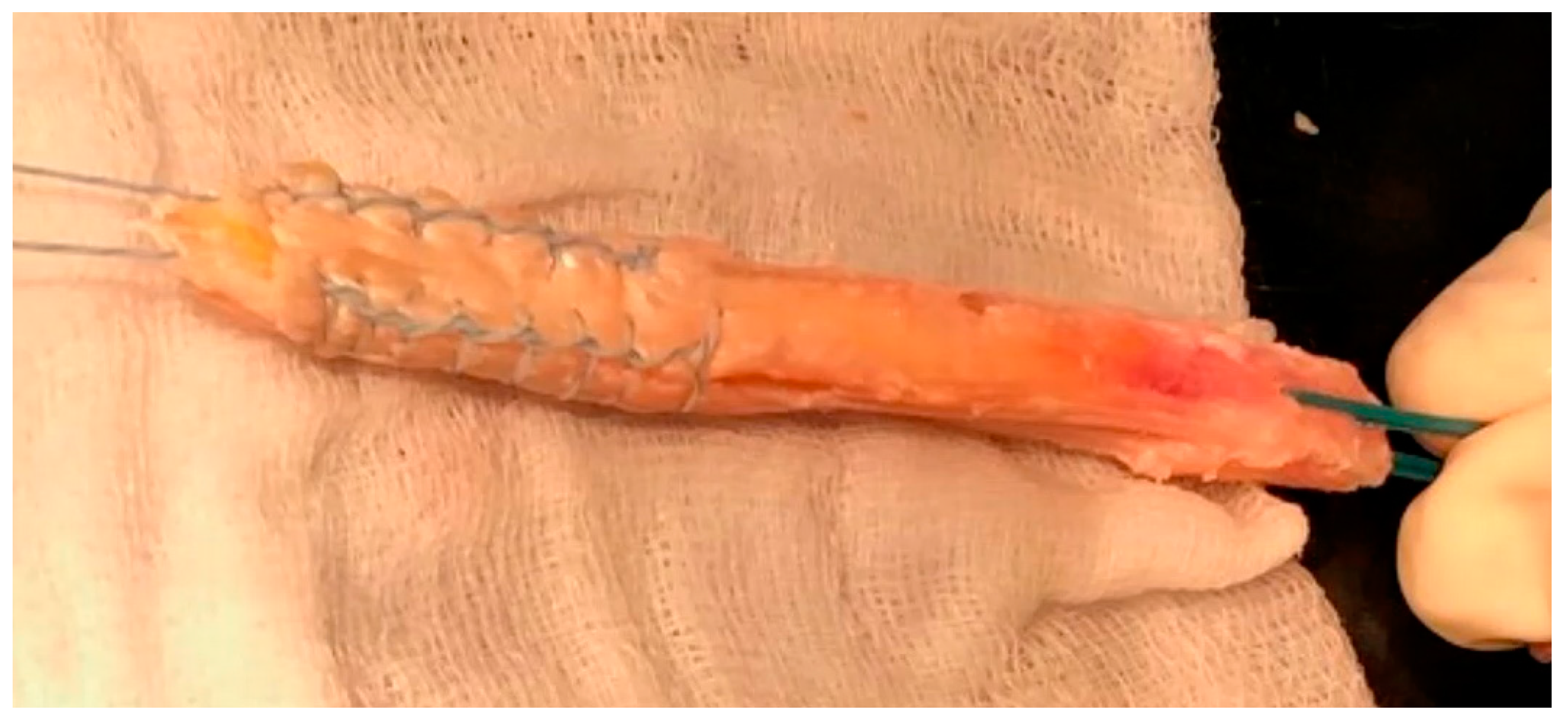 Applsci 11 03993 g001