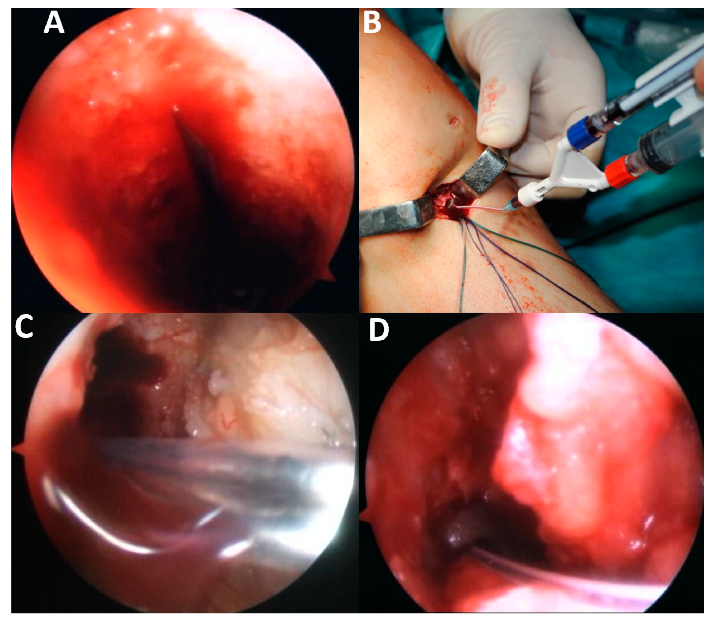 Applsci 11 03993 g003