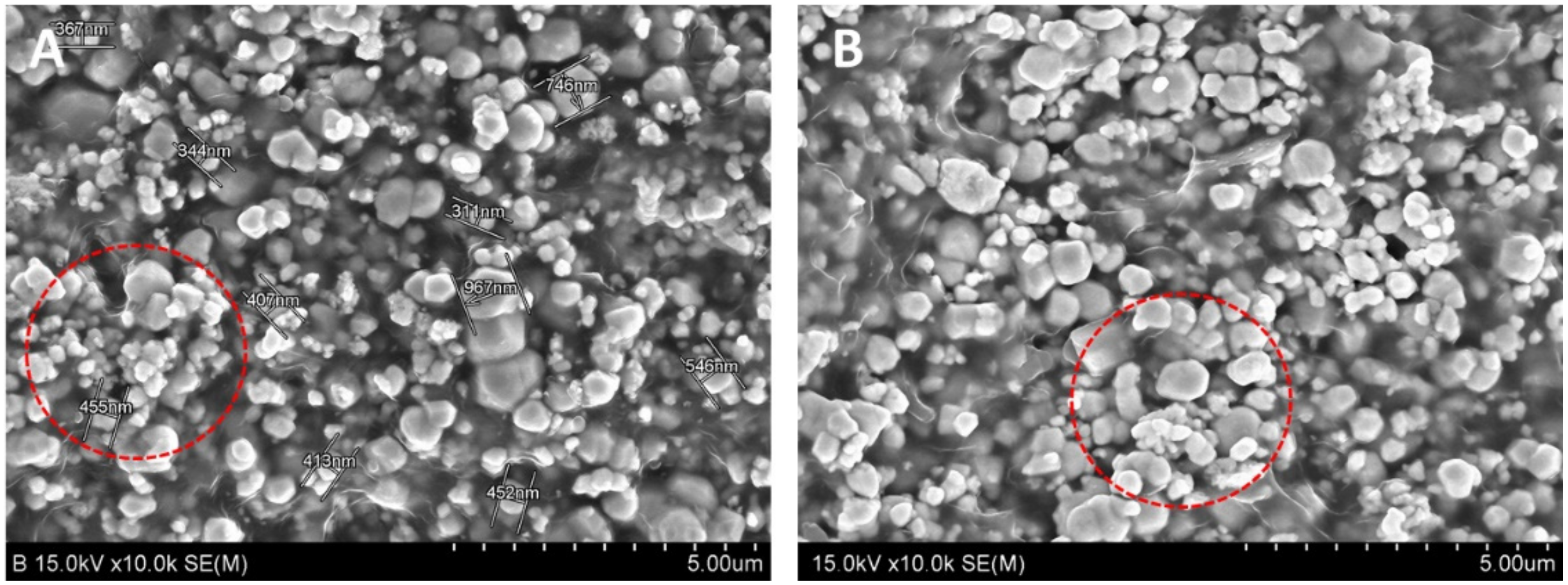 Applsci 11 04010 g005