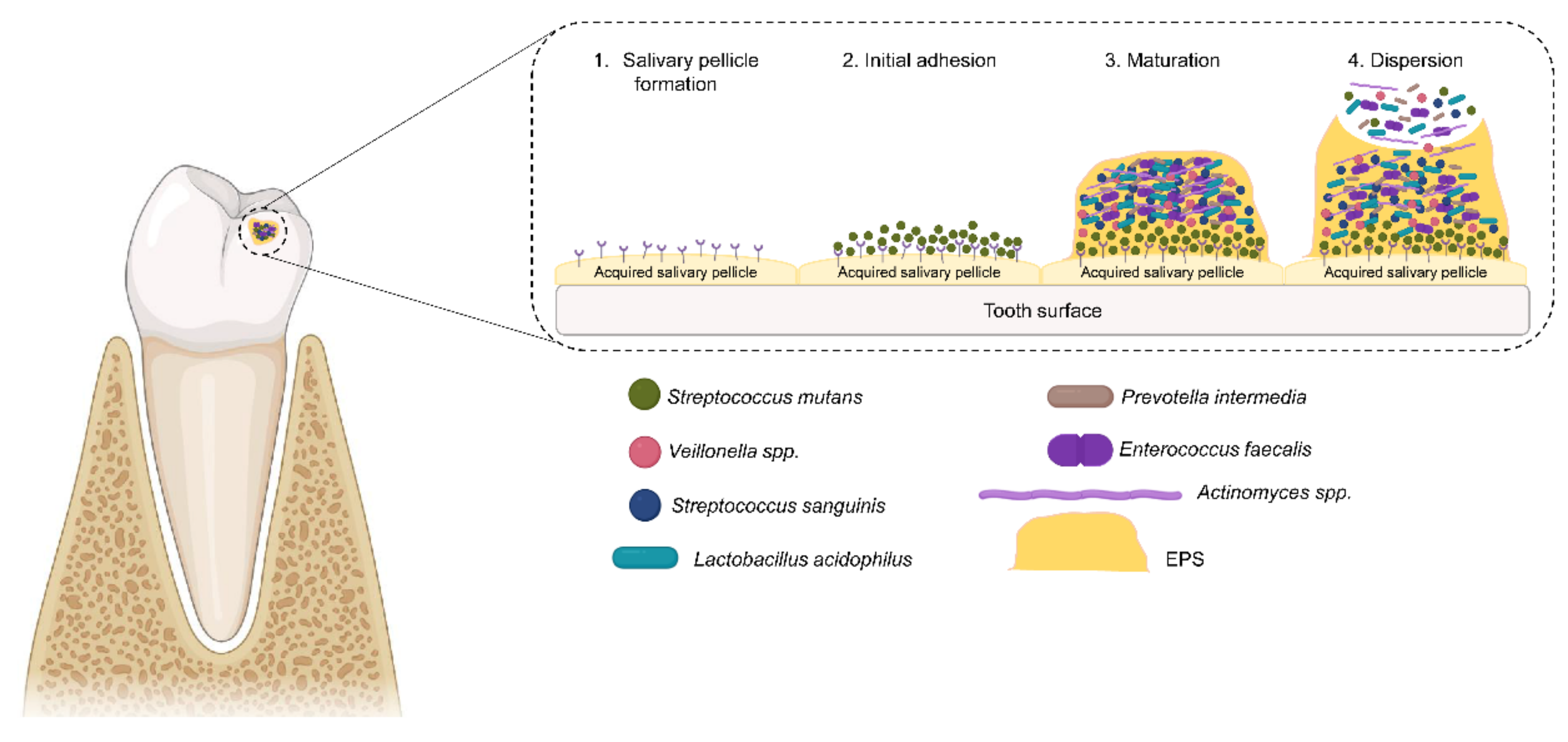 Applsci 11 04020 g001