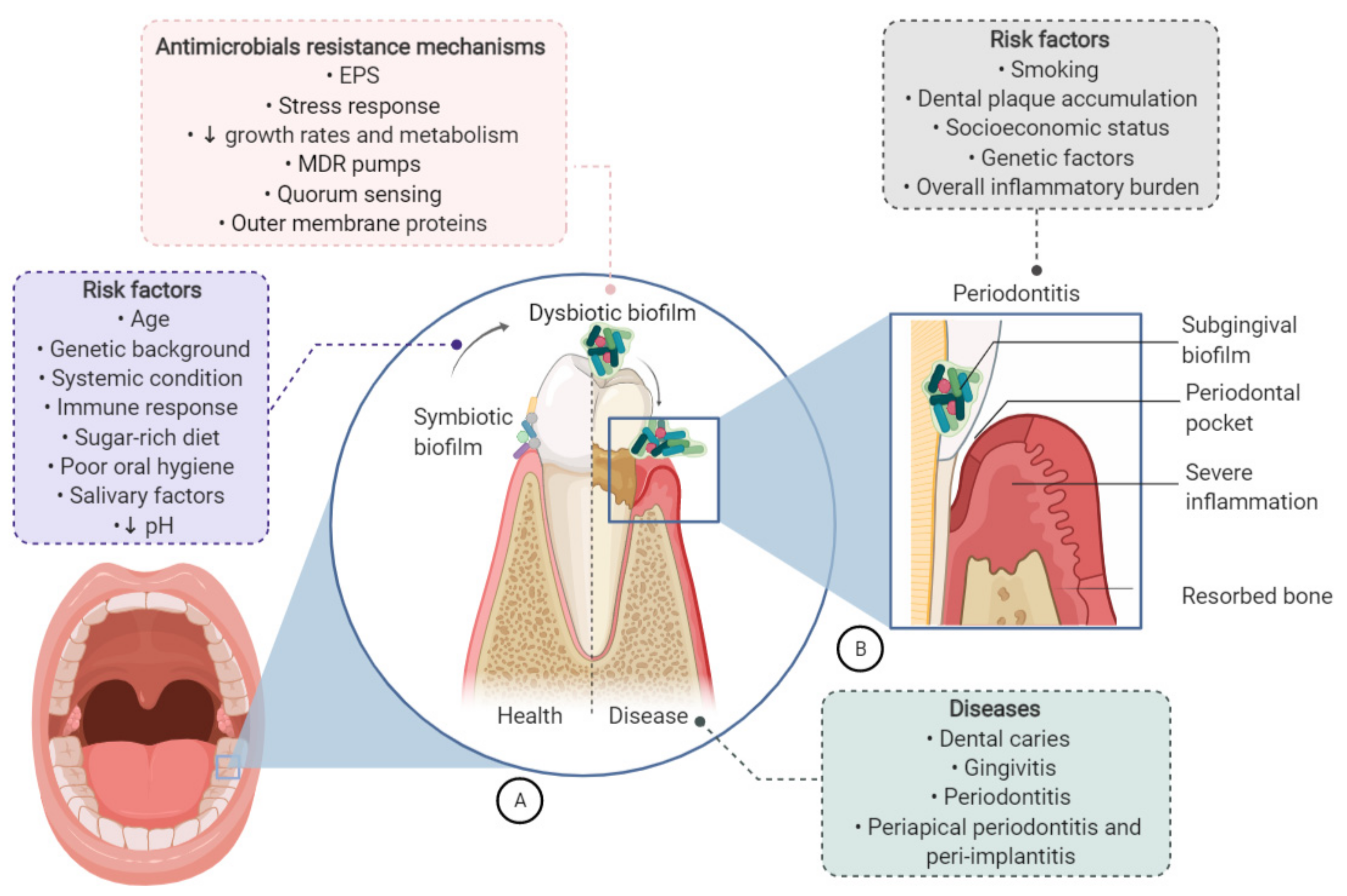 Applsci 11 04020 g002