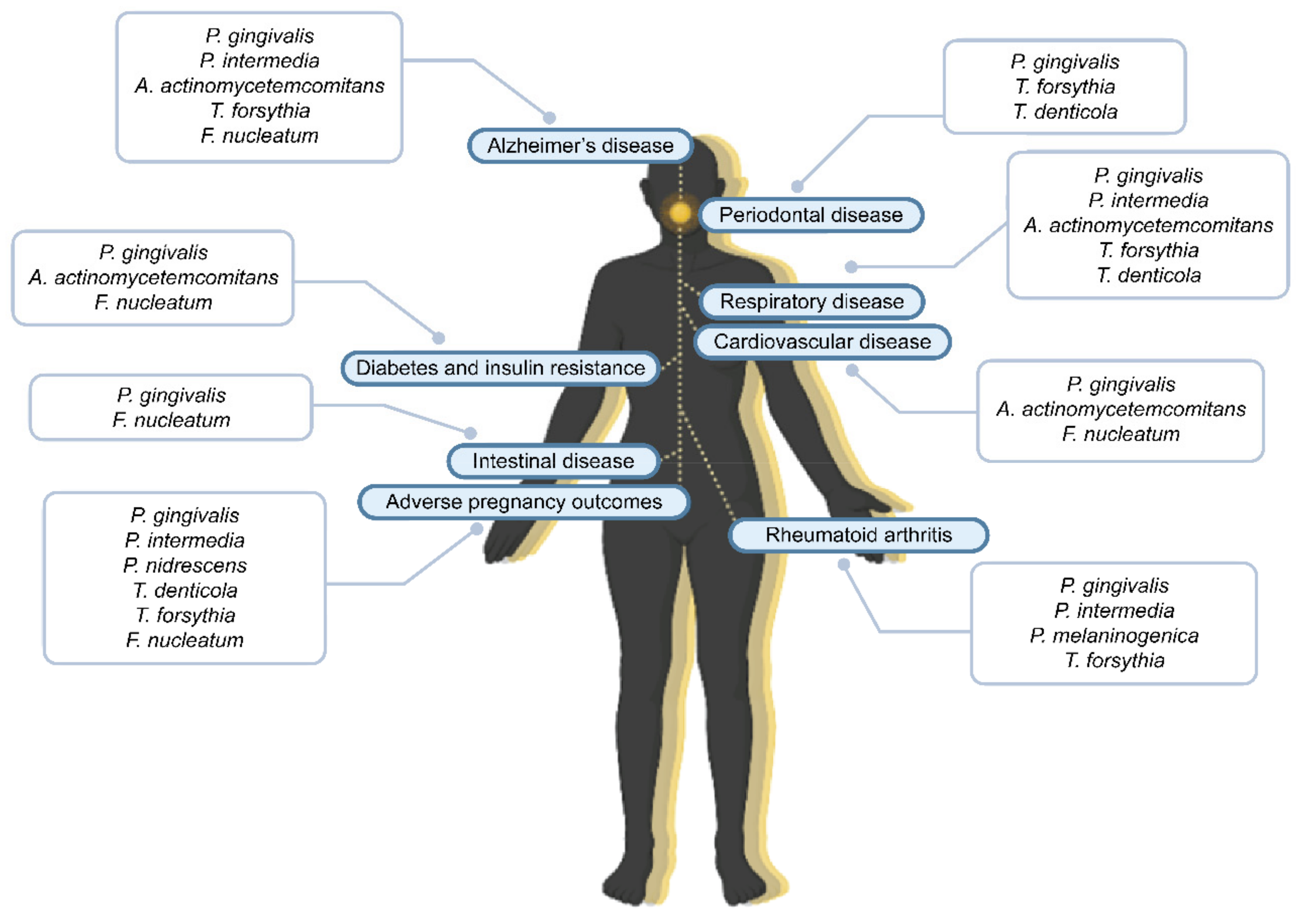 Applsci 11 04020 g003