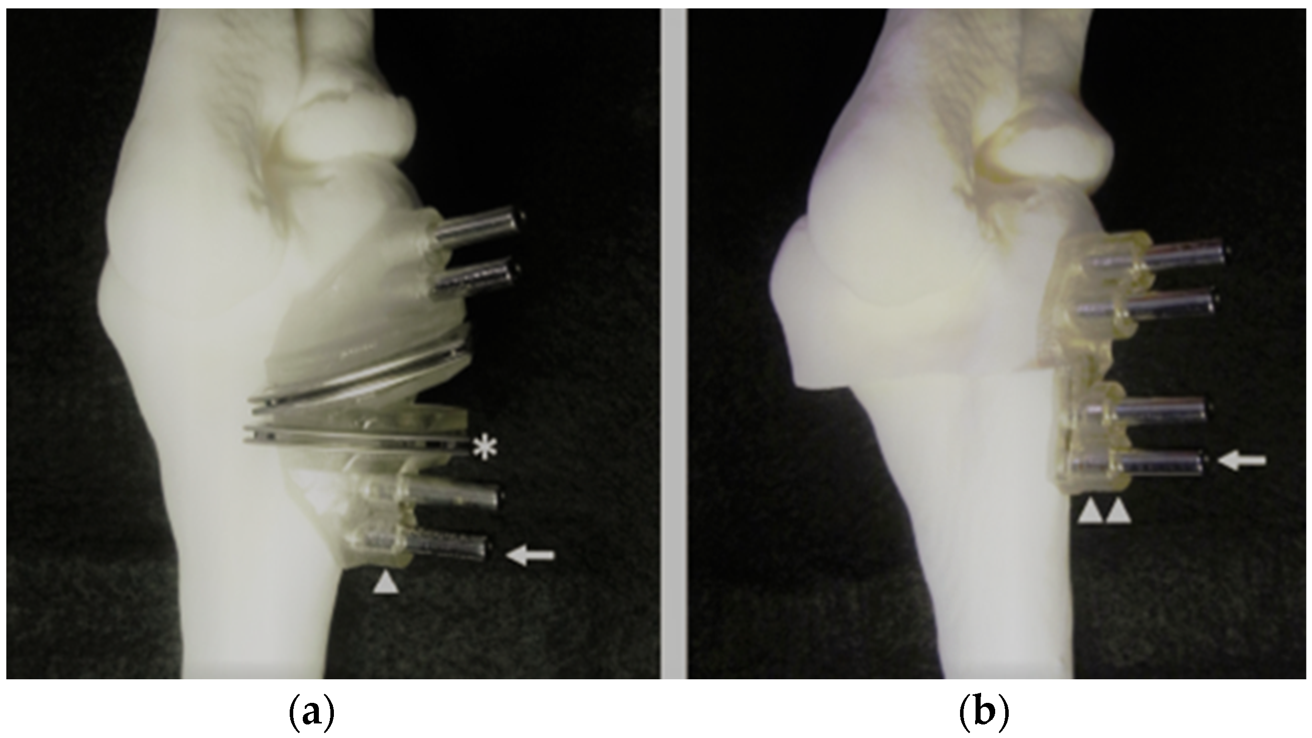 Applsci 11 04057 g003