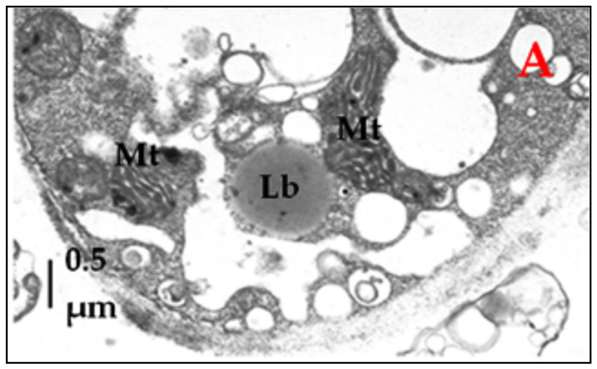 Applsci 11 04069 g007a Applsci 11 04069 g007a