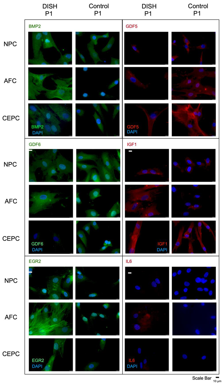Applsci 11 04072 g003