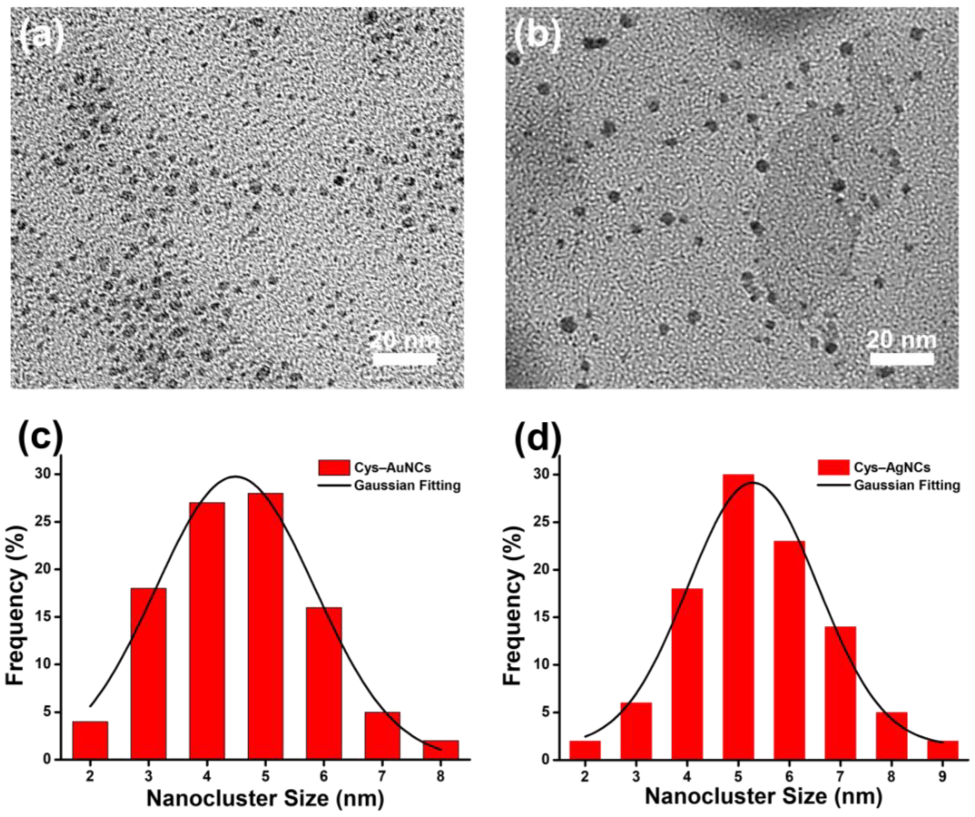 Applsci 11 04095 g001