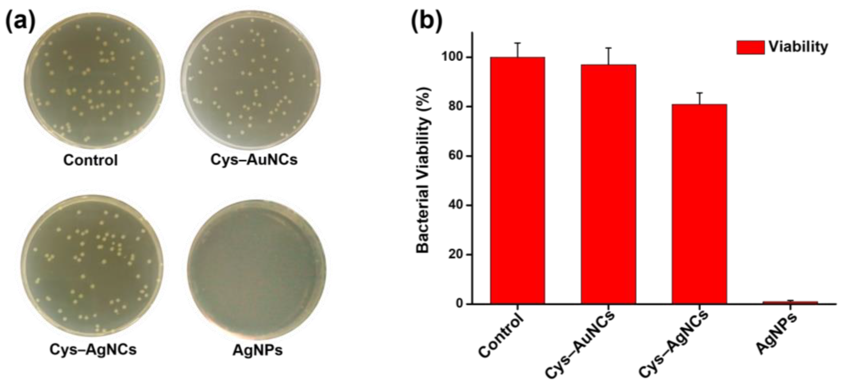 Applsci 11 04095 g005