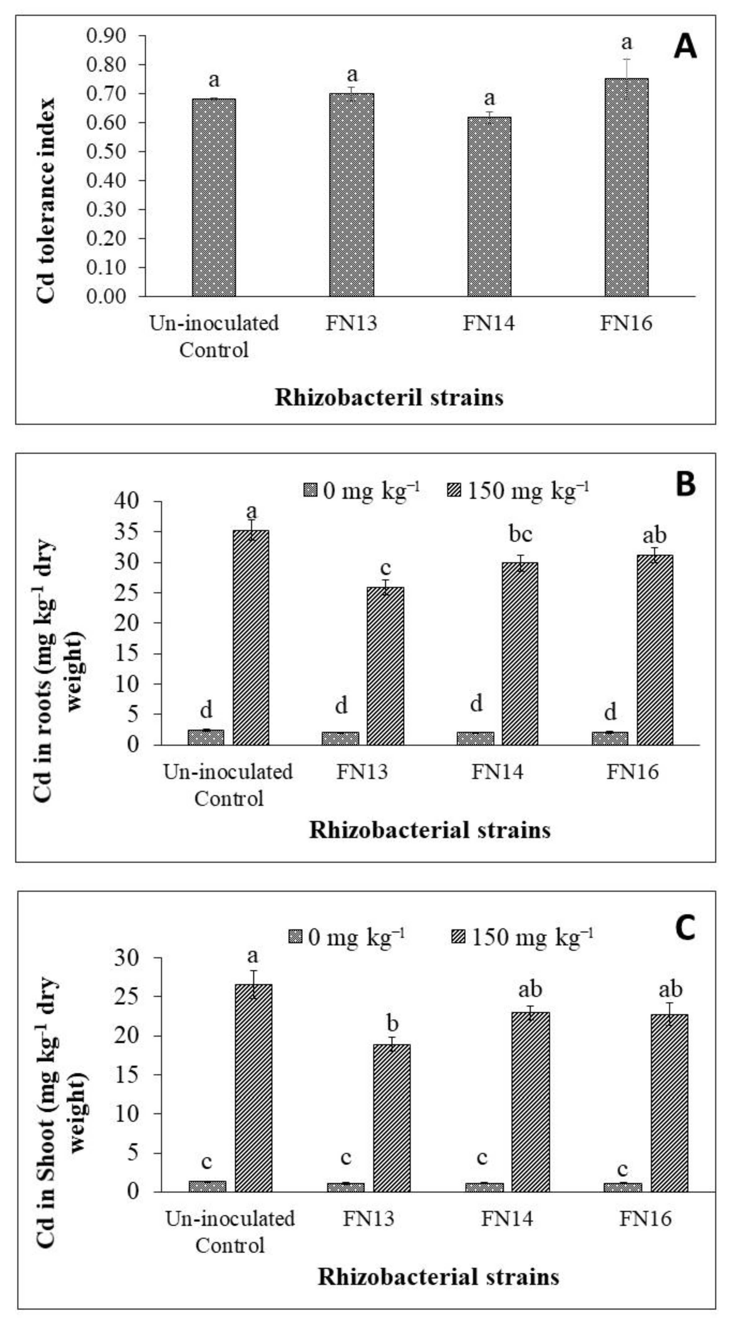 Applsci 11 04160 g003