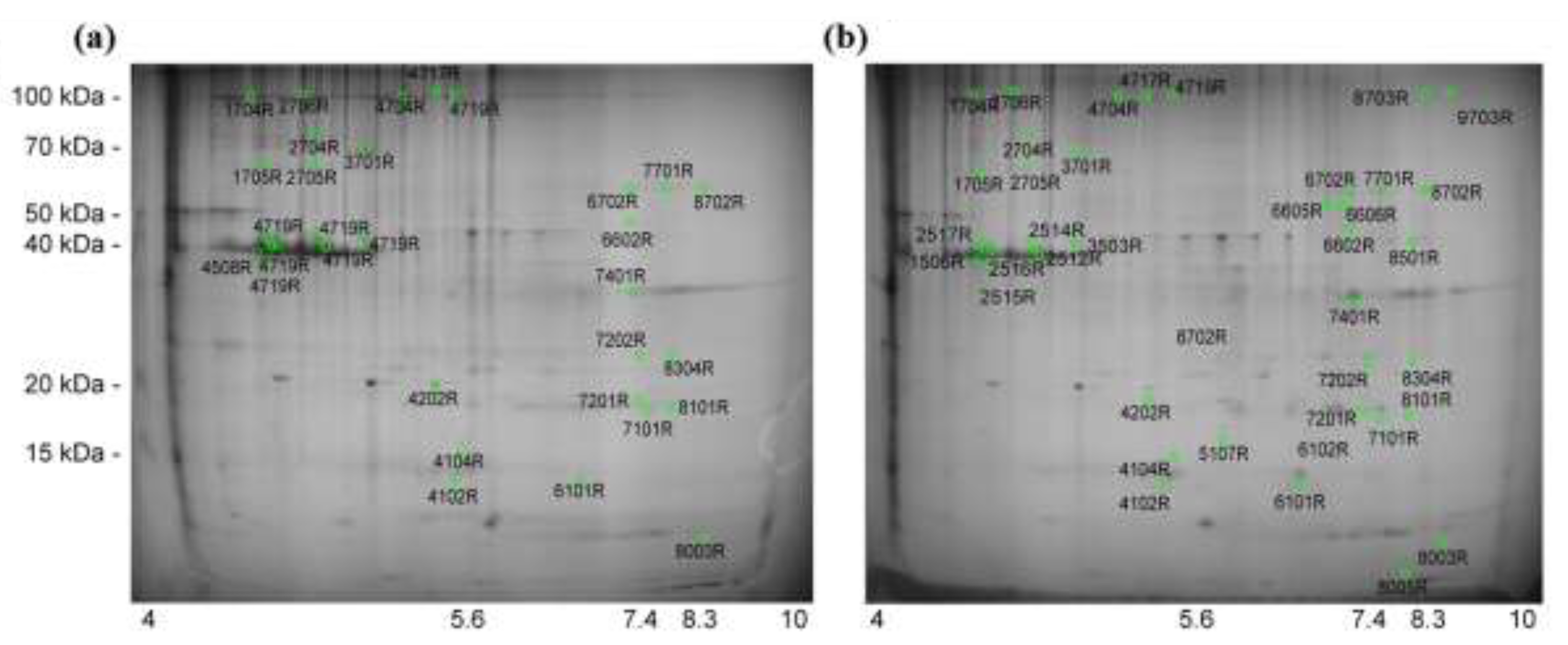Applsci 11 04163 g001