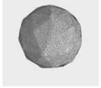 Applsci 11 04181 i005