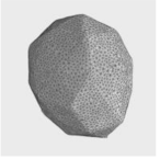 Applsci 11 04181 i006