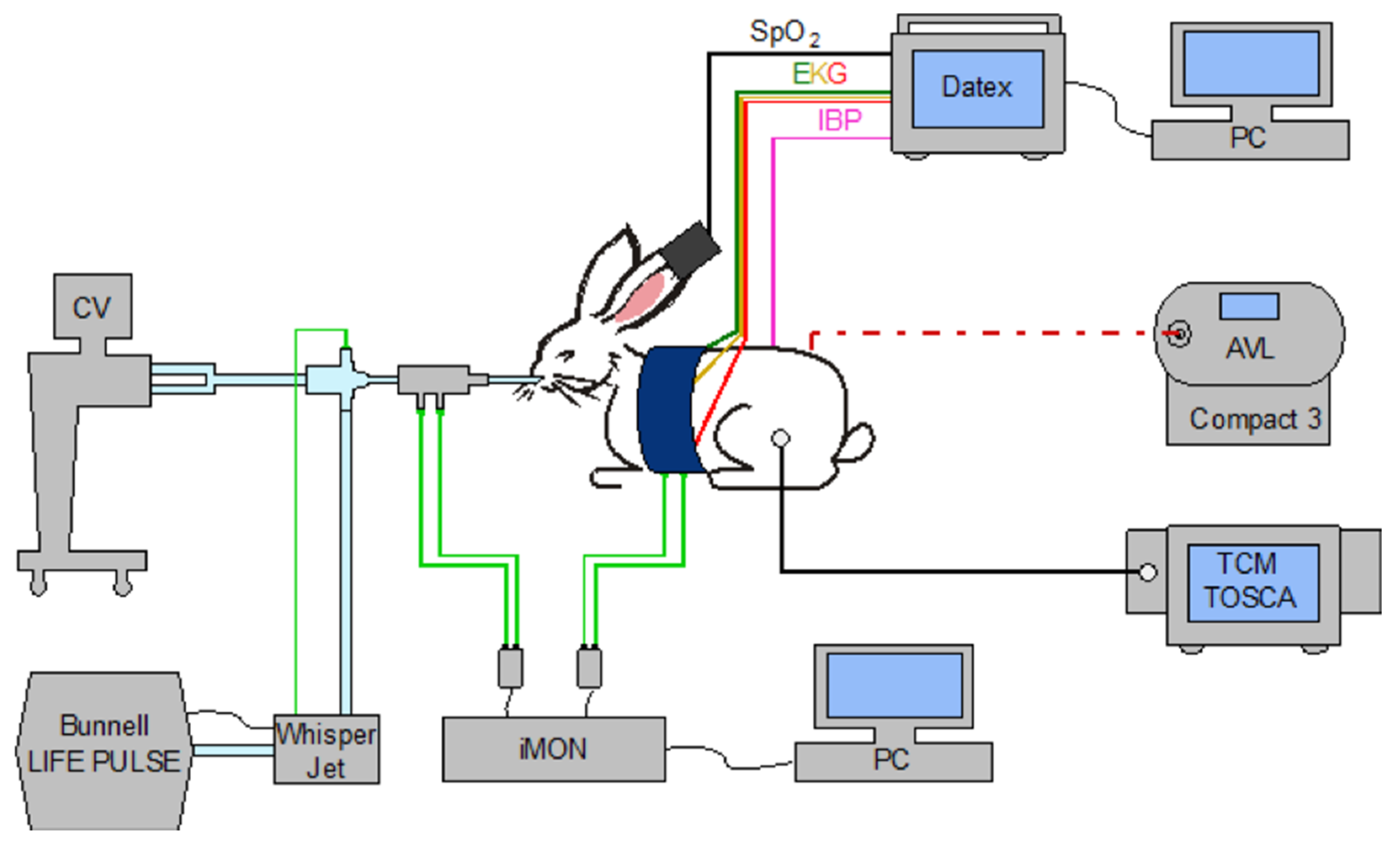 Applsci 11 04210 g007