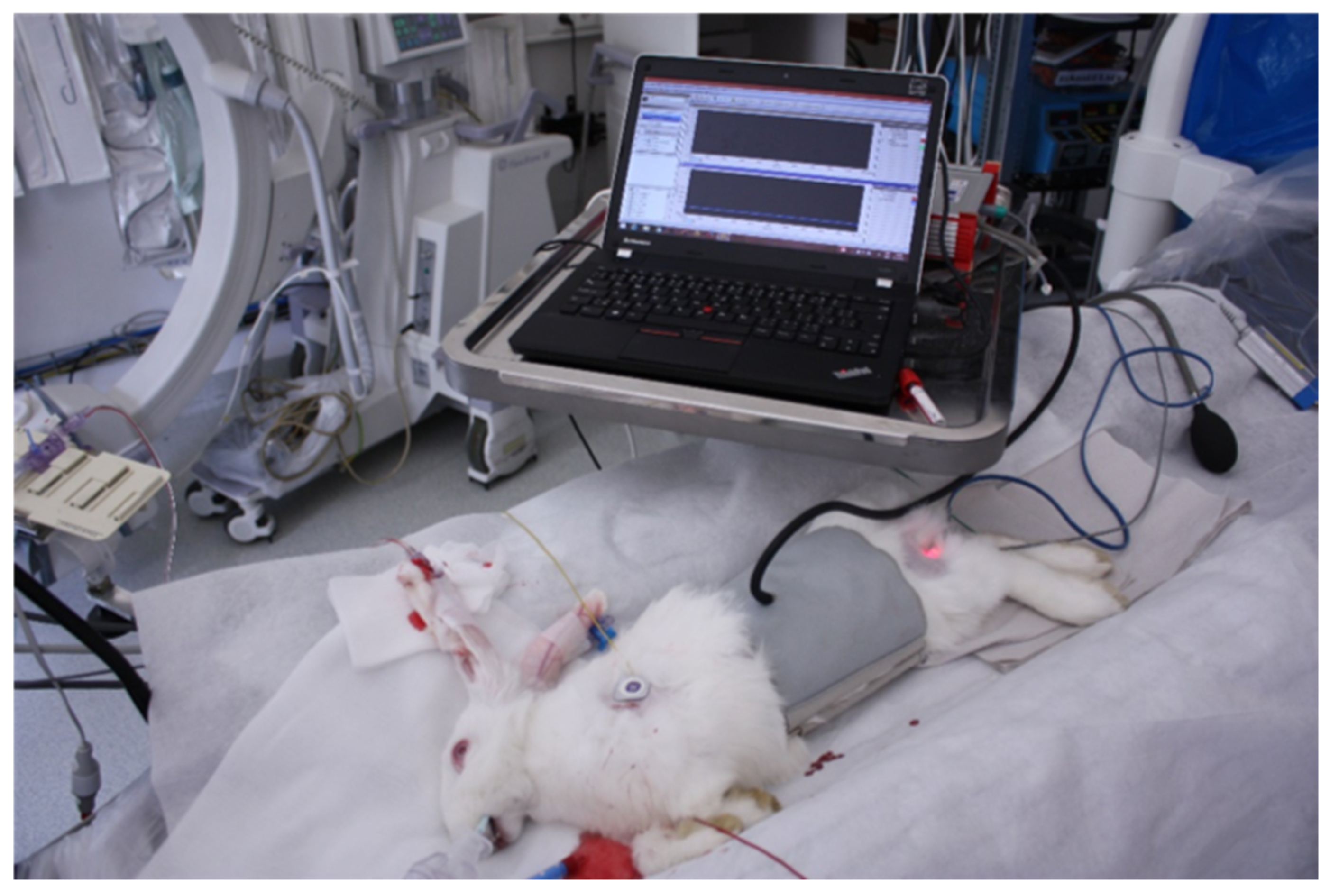 Applsci 11 04210 g008