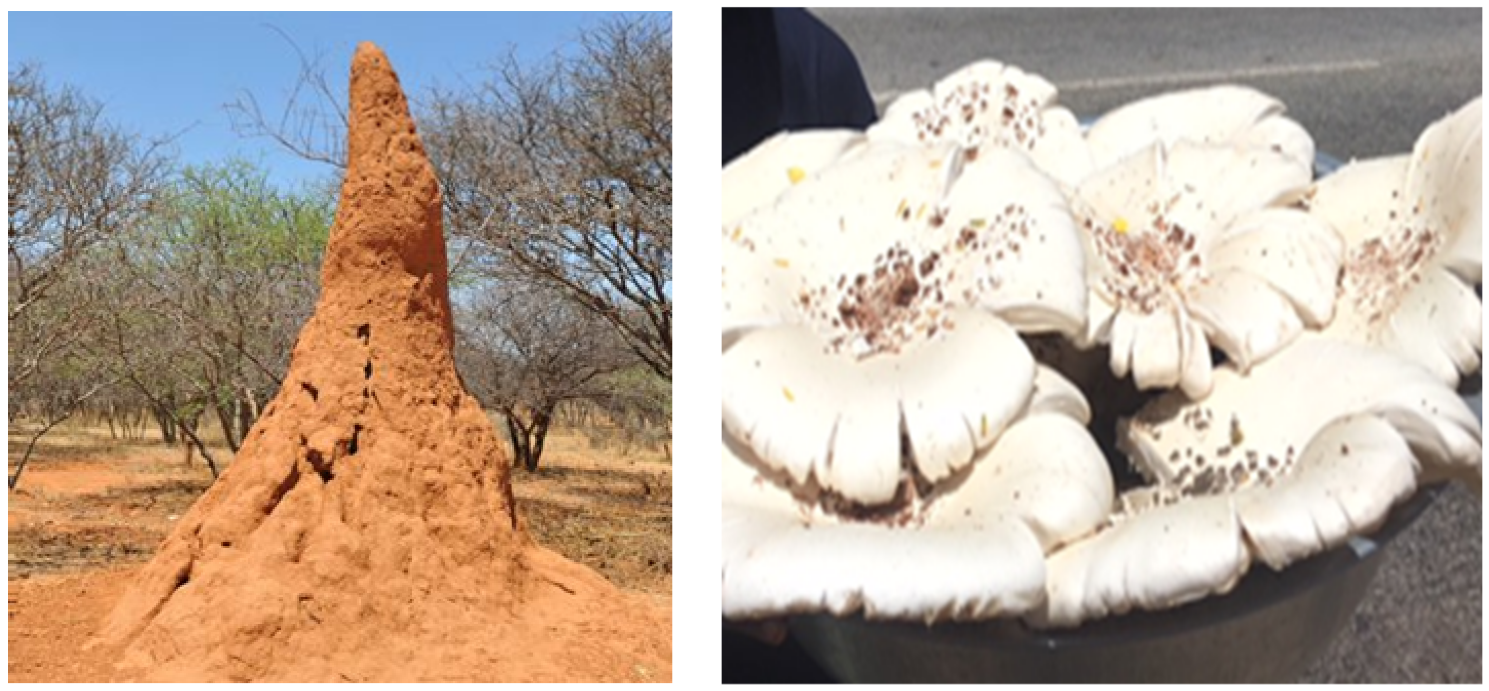 Applsci 11 04221 g006 Applsci 11 04221 g006