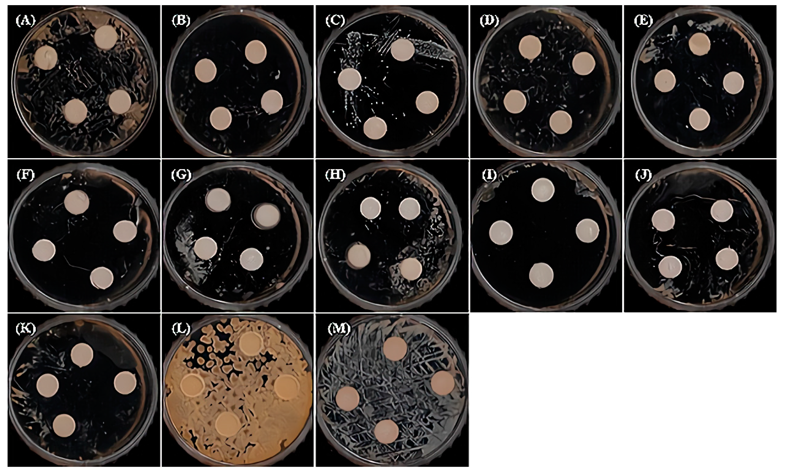 Applsci 11 04227 g002 Applsci 11 04227 g002