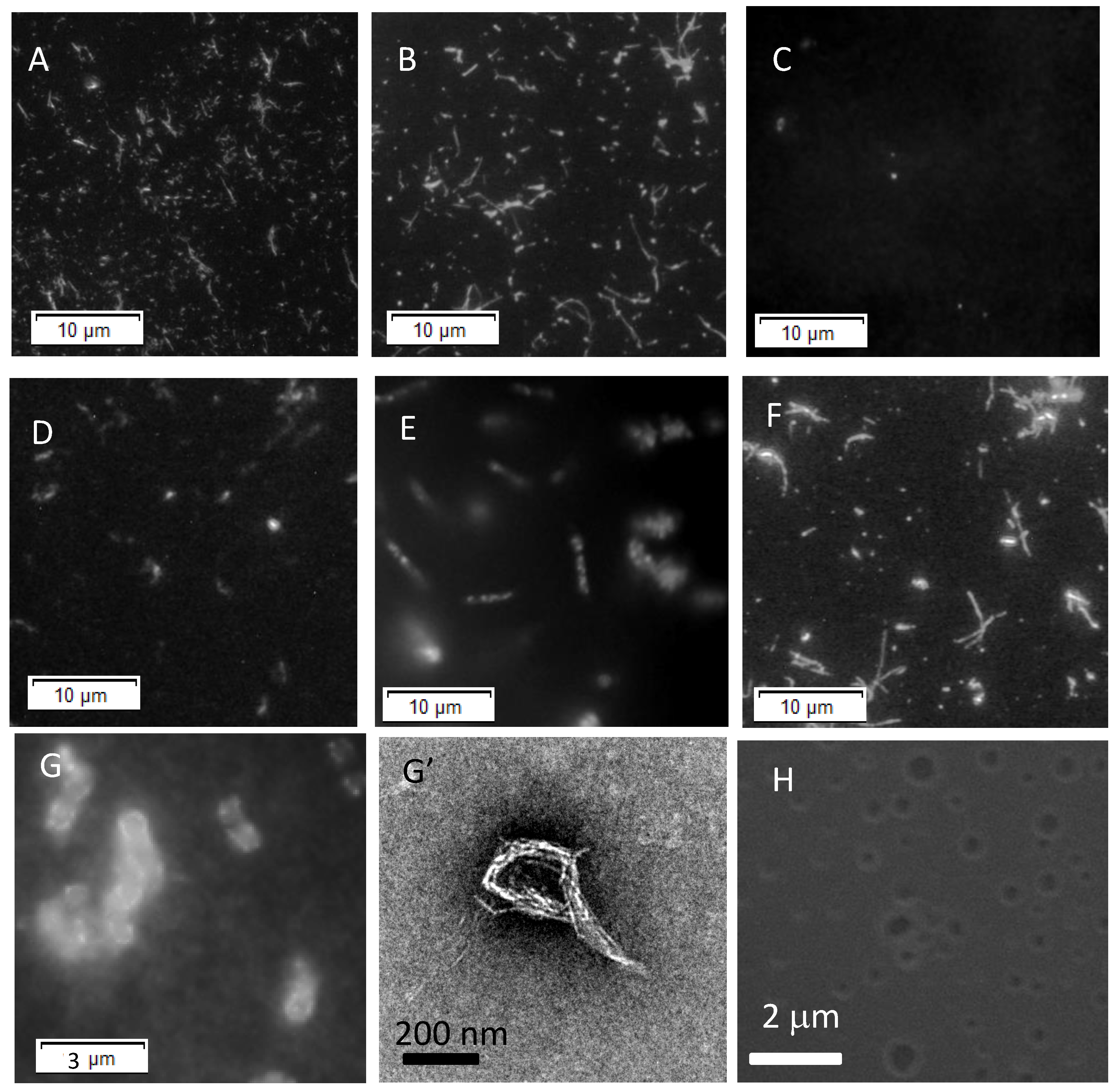 Applsci 11 04408 g002 Applsci 11 04408 g002