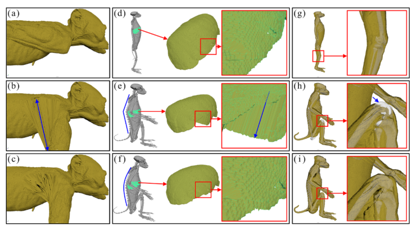 Applsci 11 04430 g002