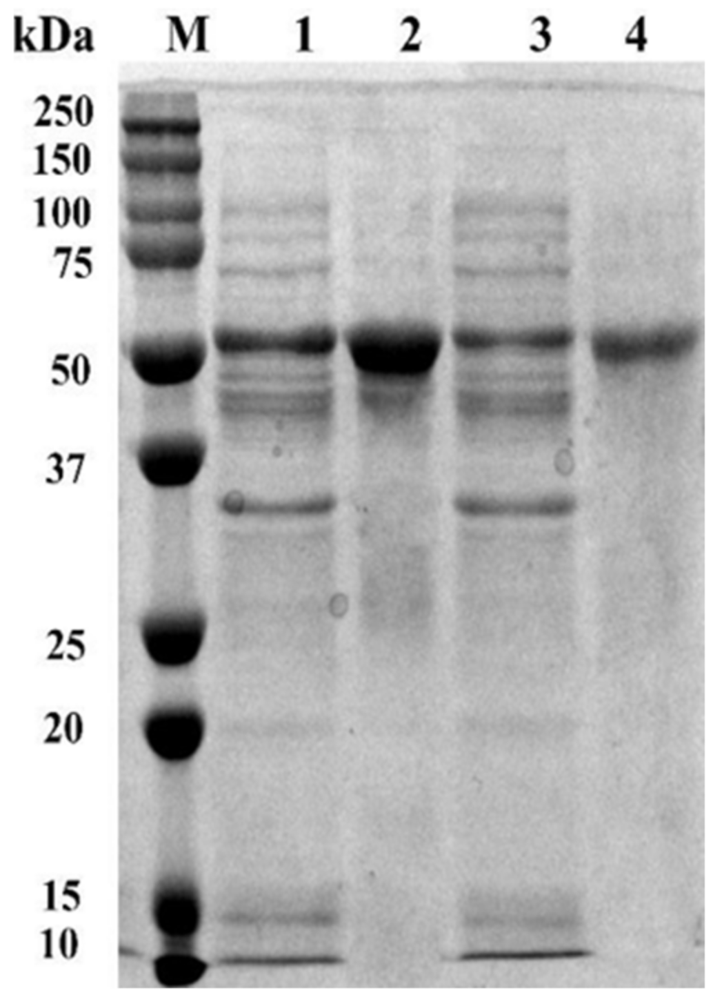 Applsci 11 04453 g003