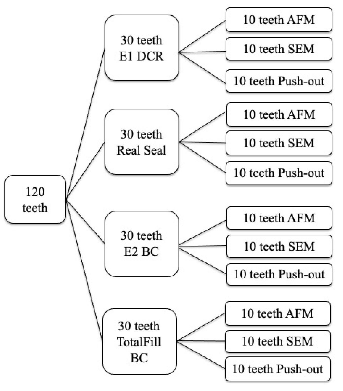 Applsci 11 04454 g001 Applsci 11 04454 g001