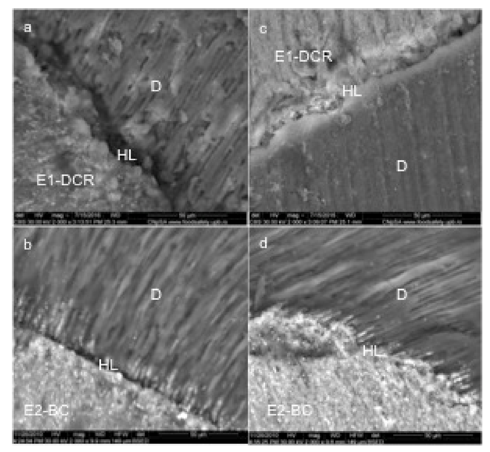 Applsci 11 04454 g002 Applsci 11 04454 g002