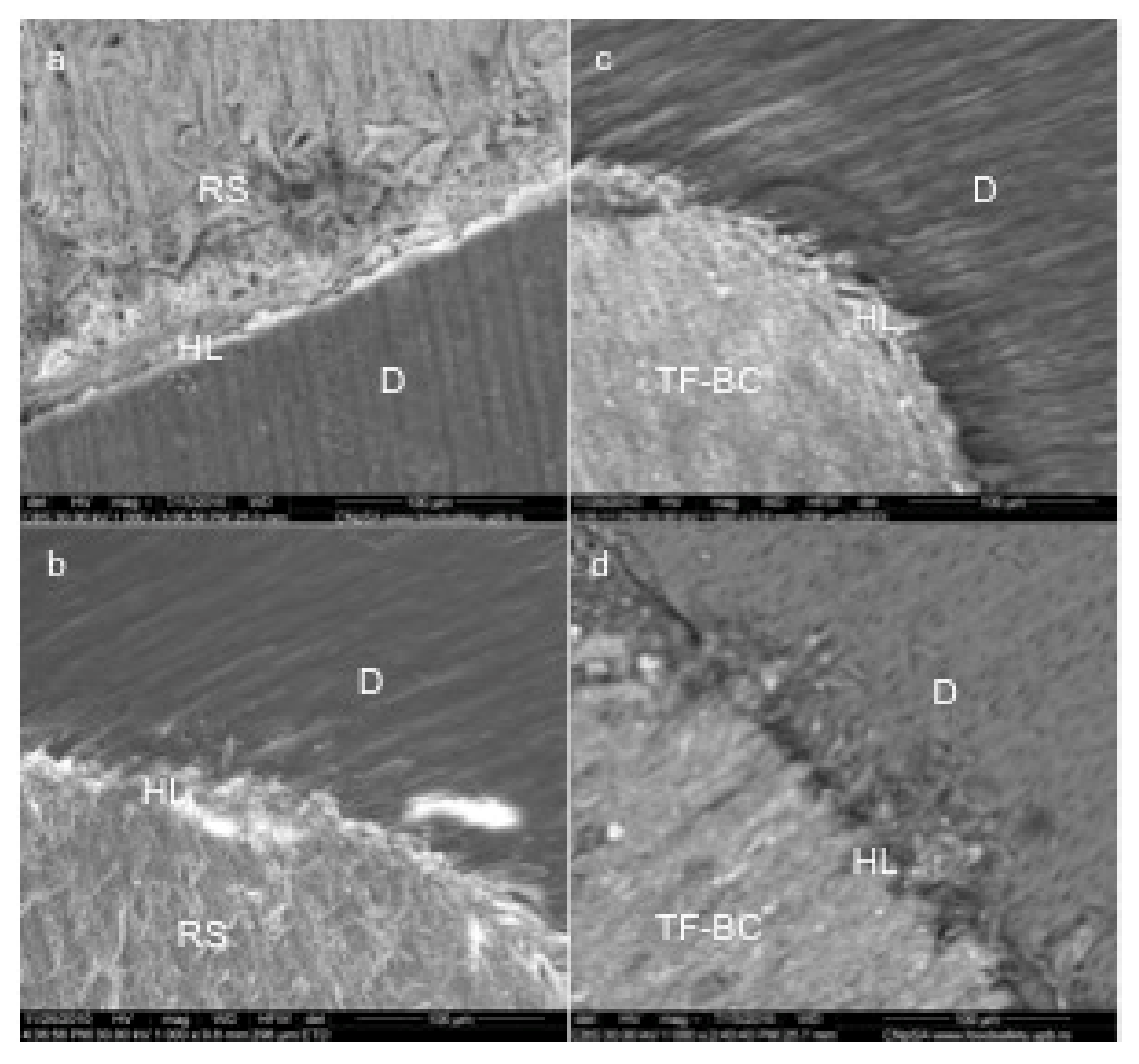 Applsci 11 04454 g003 Applsci 11 04454 g003