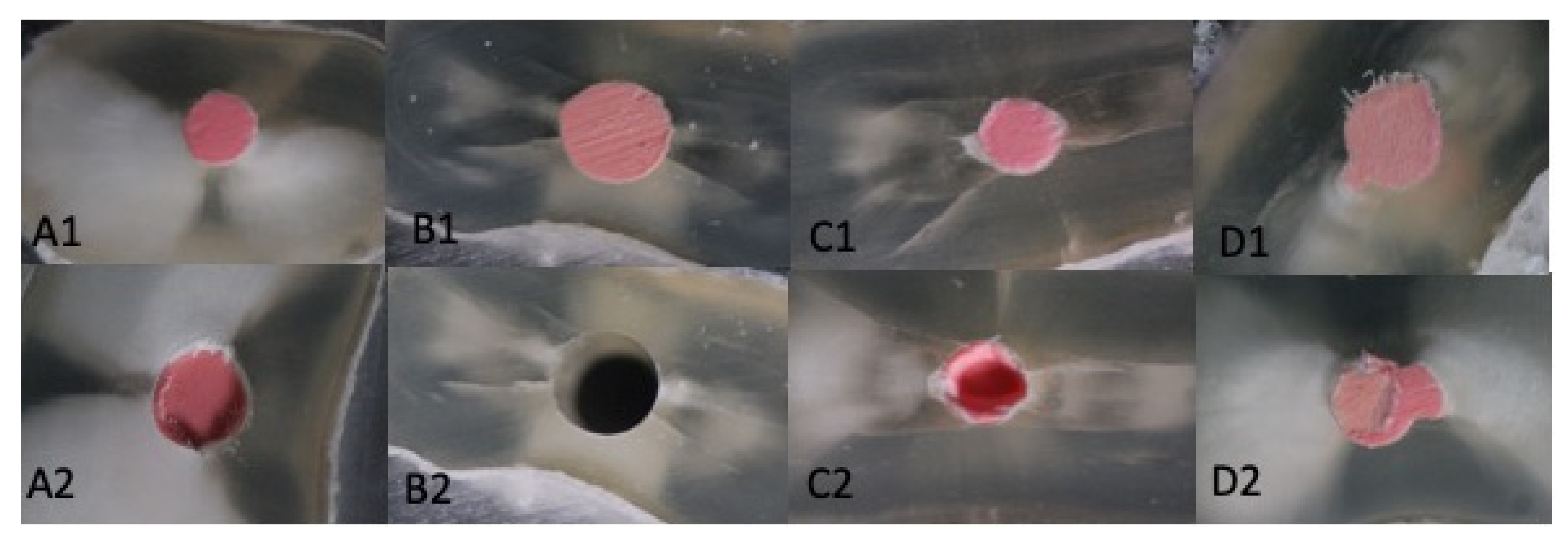 Applsci 11 04454 g005 Applsci 11 04454 g005