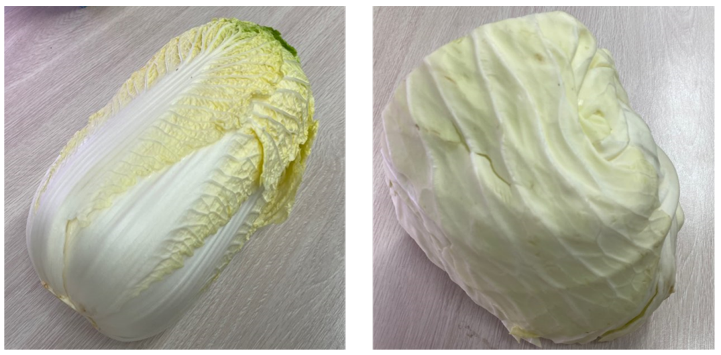 Applsci 11 04493 g001