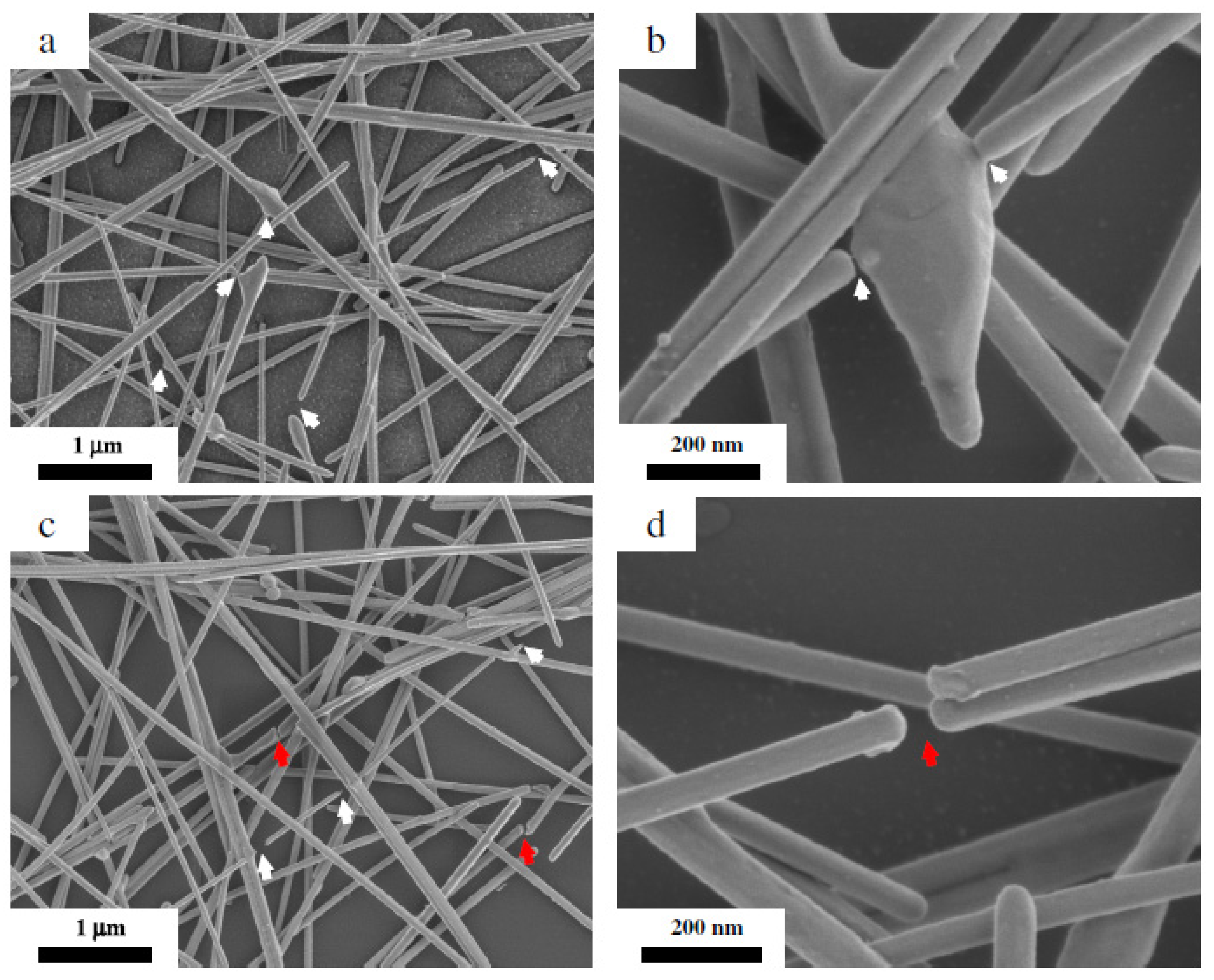 Applsci 11 04515 g012