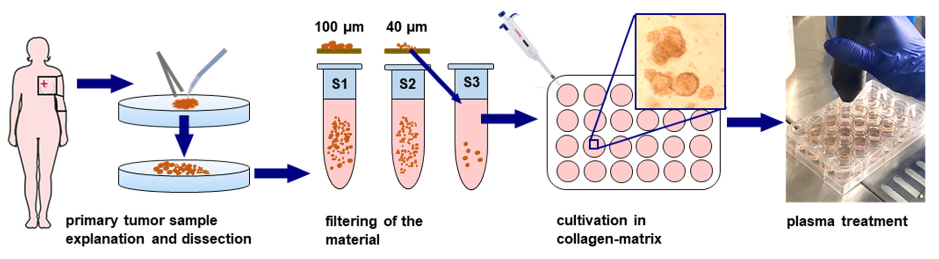 Applsci 11 04527 g002