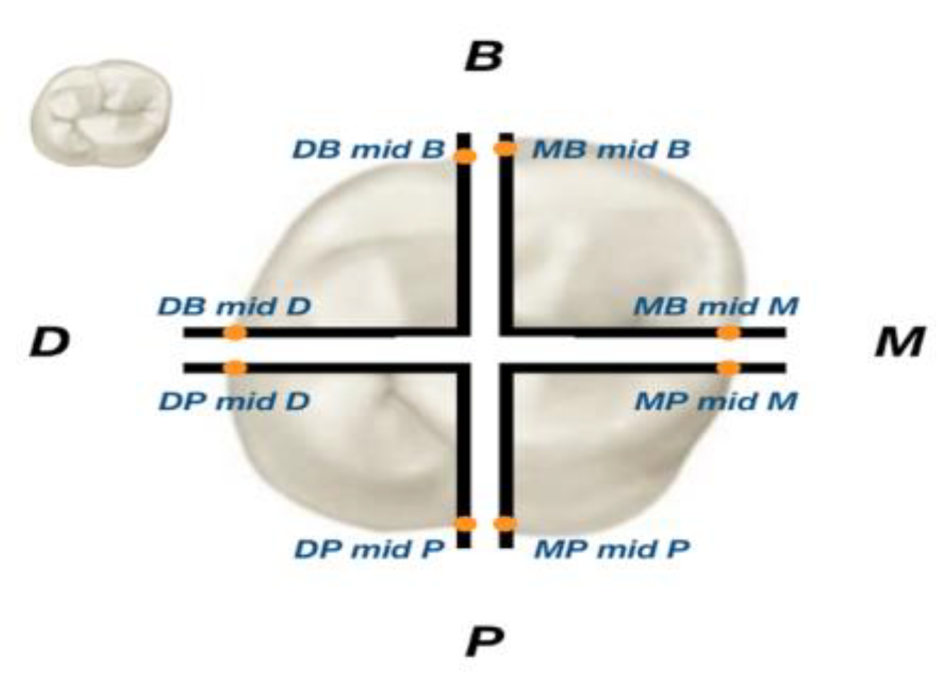 Applsci 11 04534 g002 Applsci 11 04534 g002