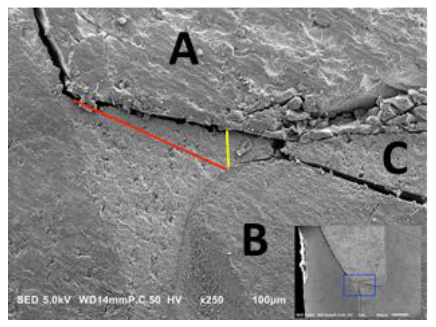 Applsci 11 04534 g003 Applsci 11 04534 g003