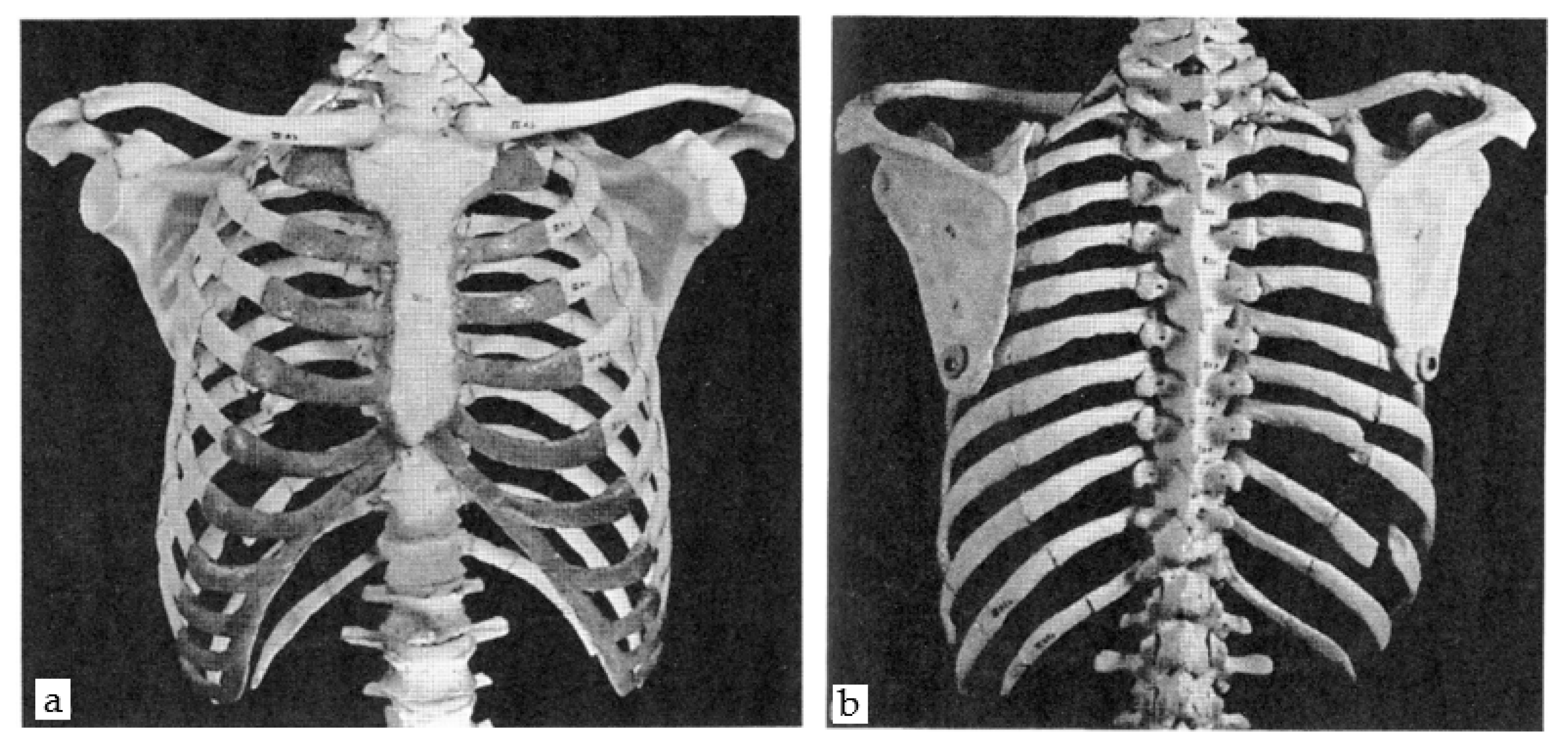 Applsci 11 04545 g001