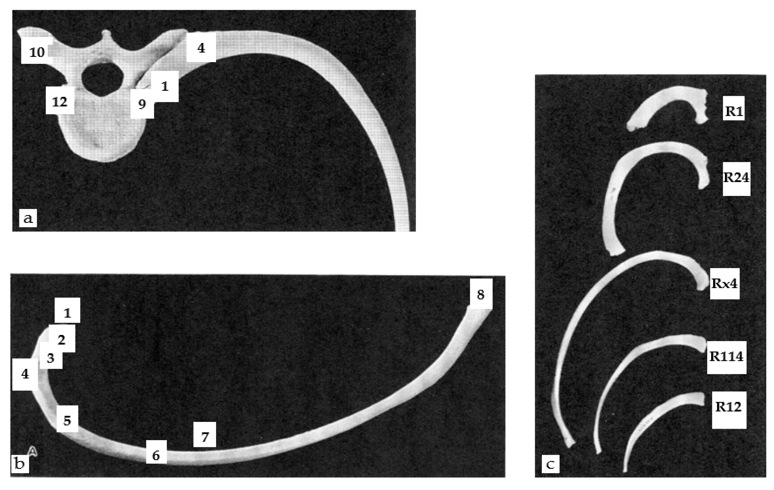 Applsci 11 04545 g002