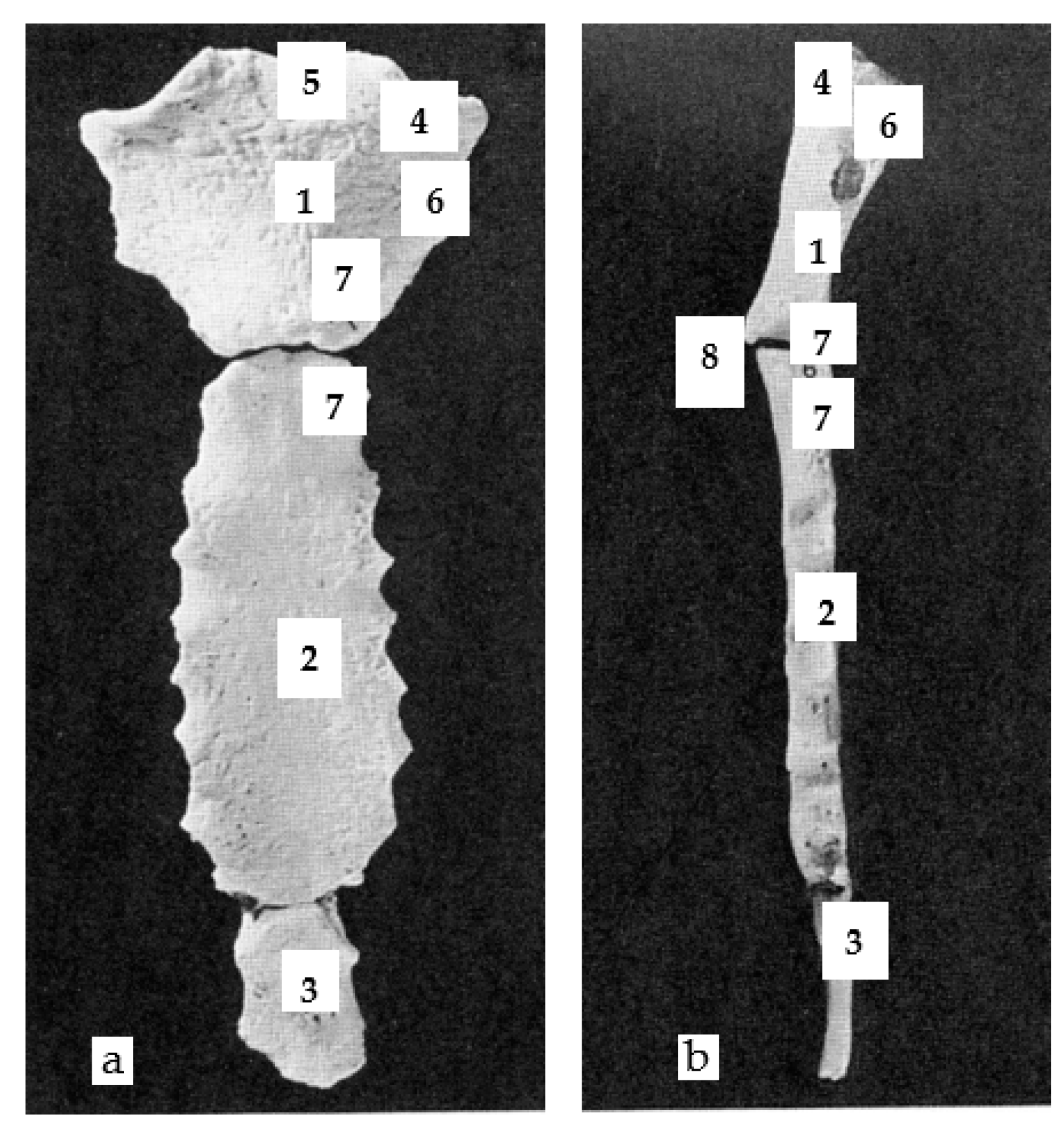 Applsci 11 04545 g003